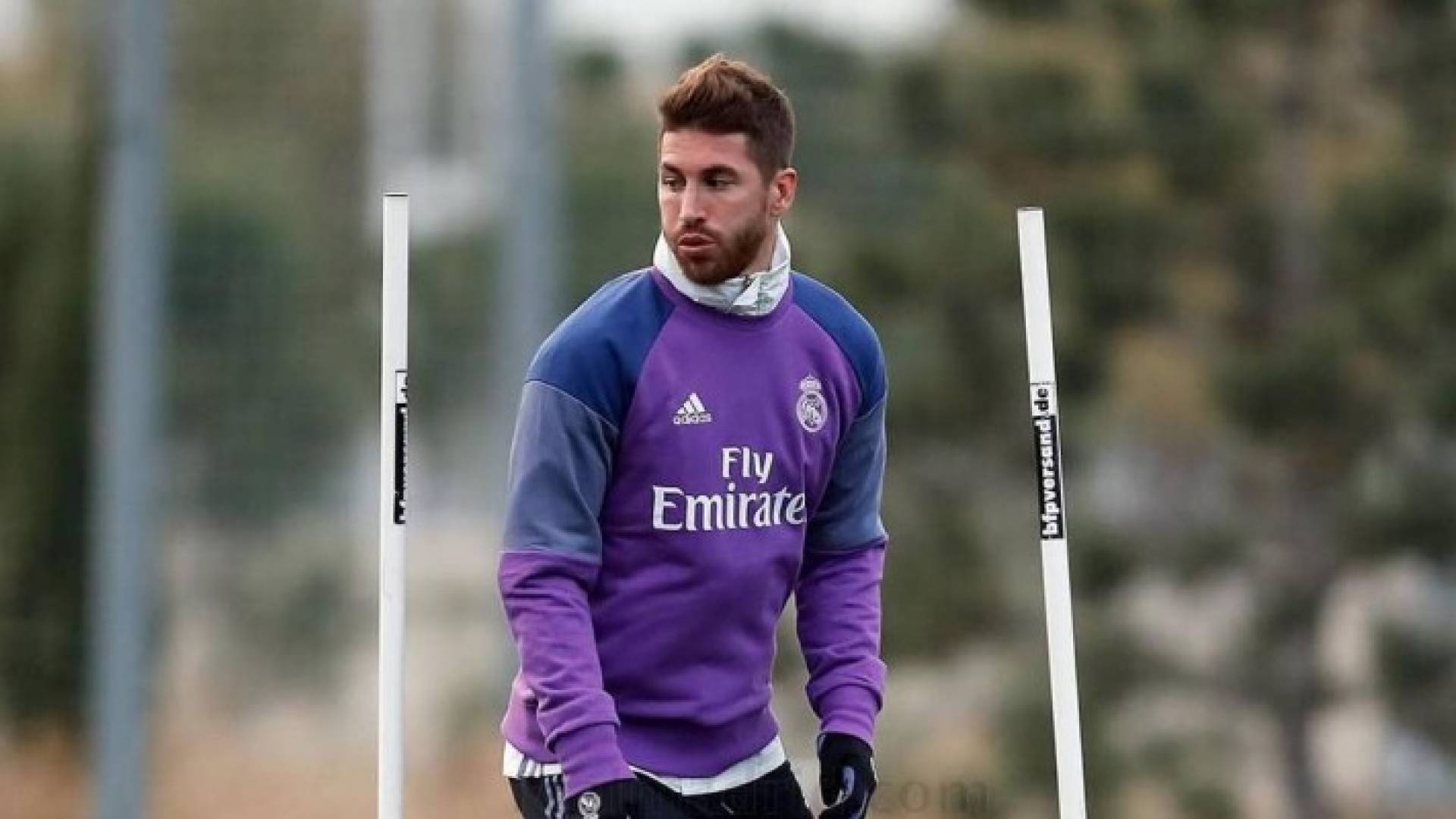 ارشيفية