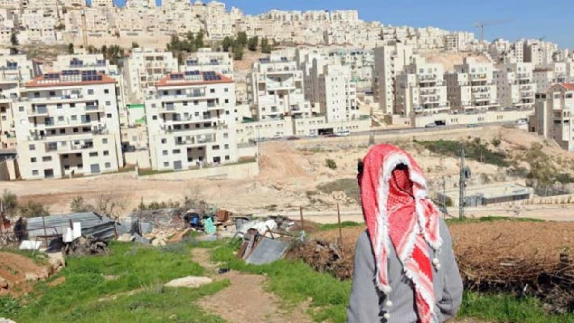ارشيفية