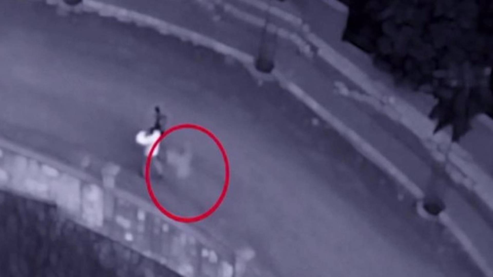 صورة من الفيديو