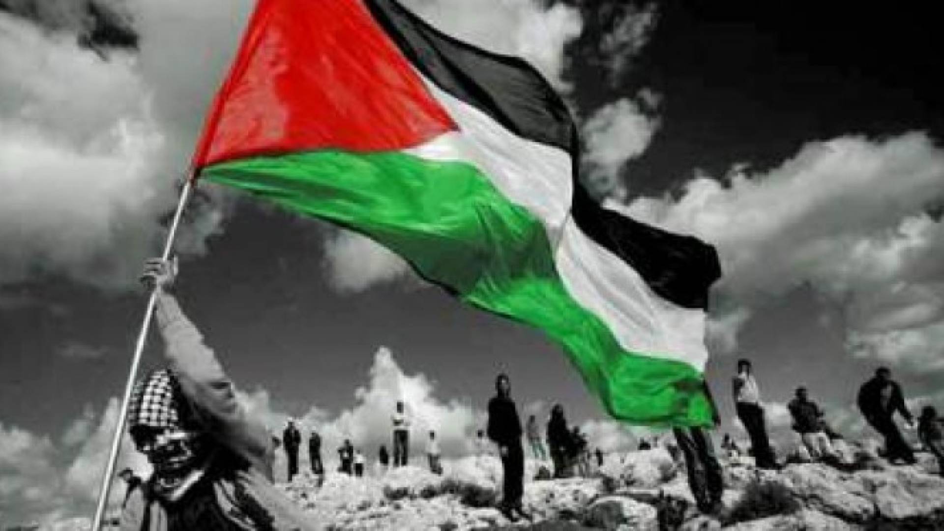 أبرز انجازات وابداعات الفلسطينيين في العام ٢٠١٦ 