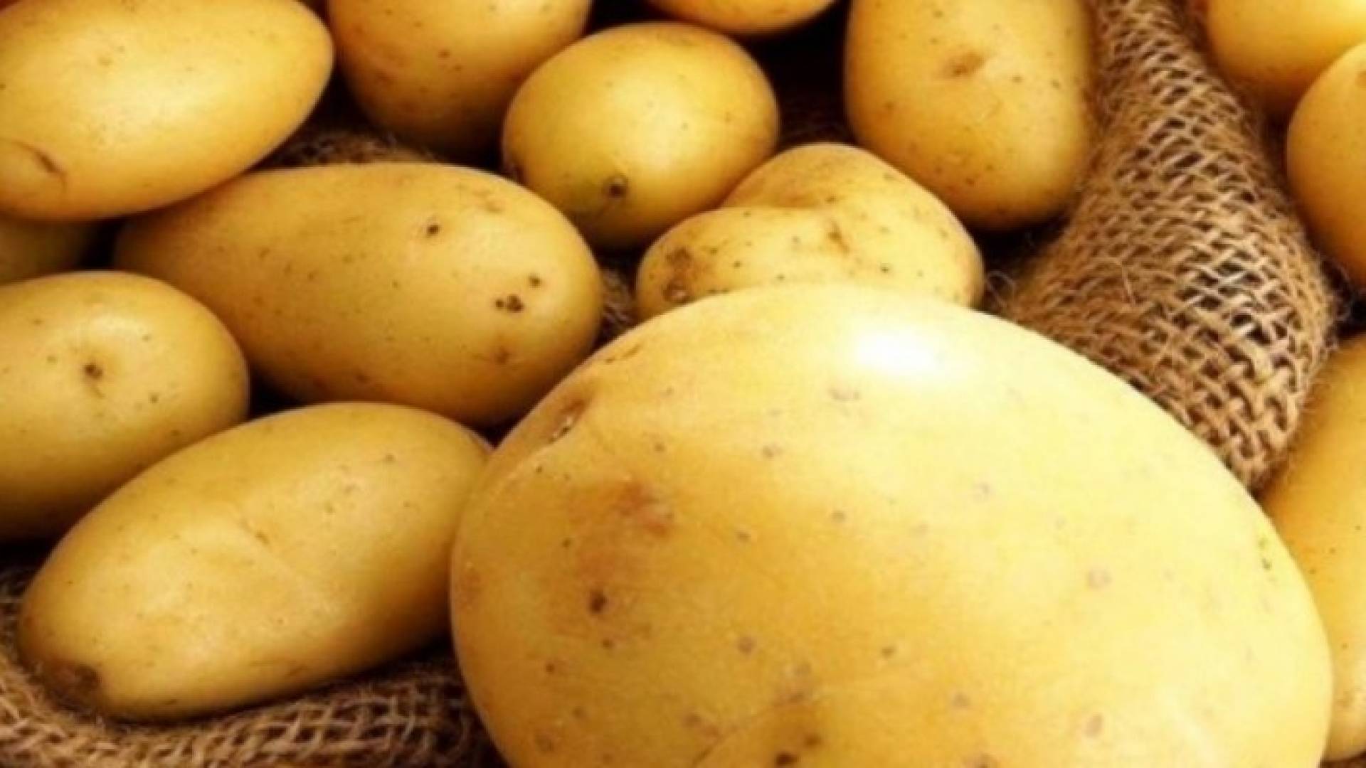 كشفت أحدث الأبحاث الطبية أن ماء سلق البطاطس سرعان ما سيحتل كأحدث صيحات رفع كفاءة الجسم وإزالة السموم في 2017