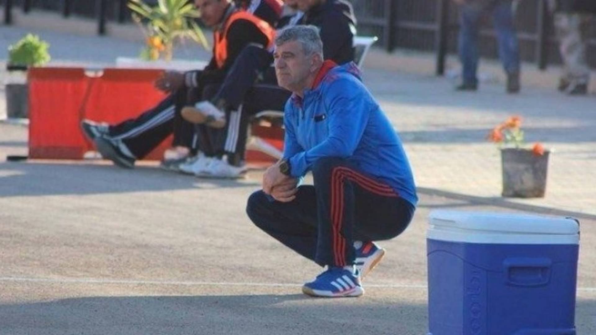 ارشيفية