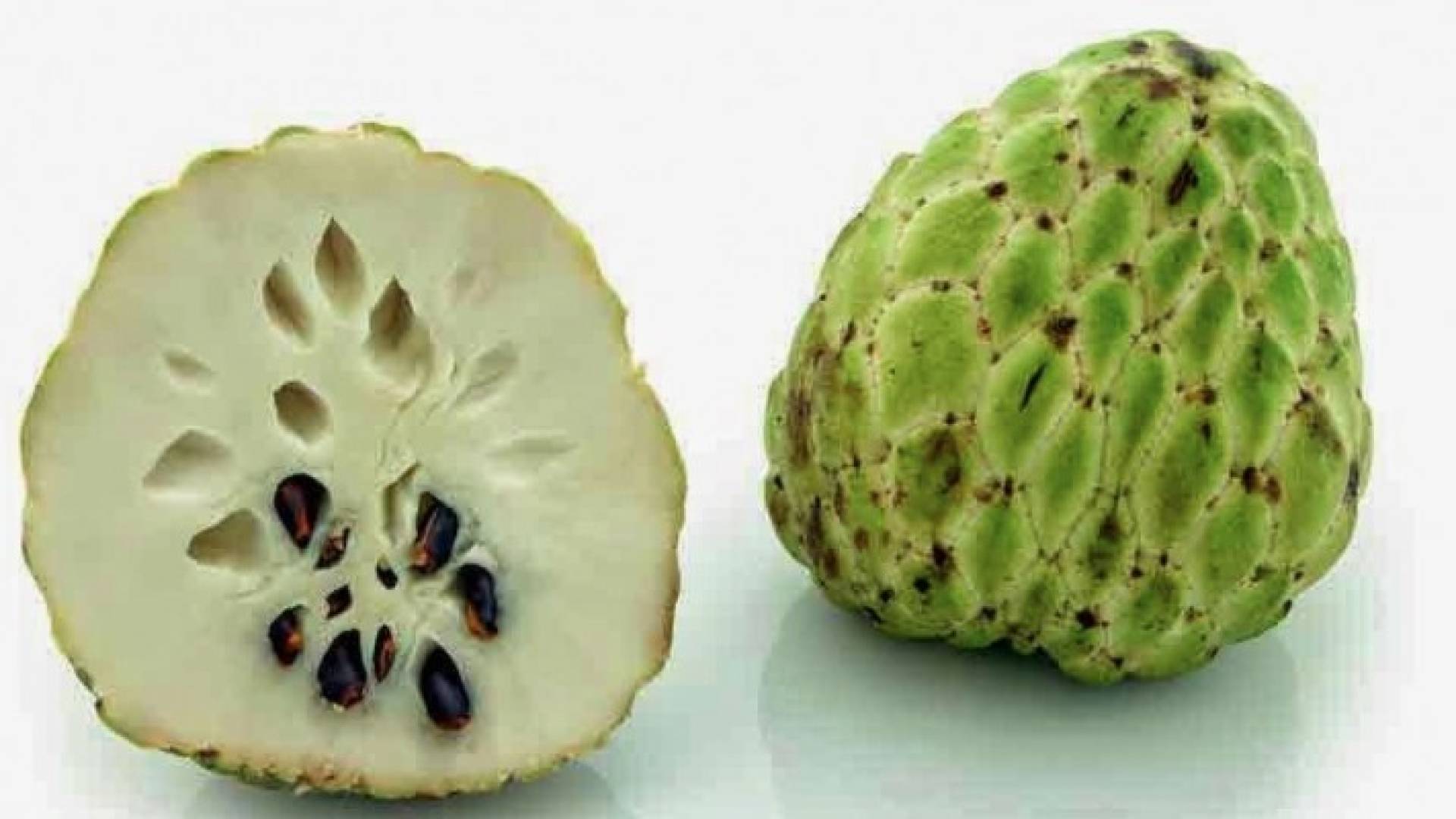 فاكهة القشطة