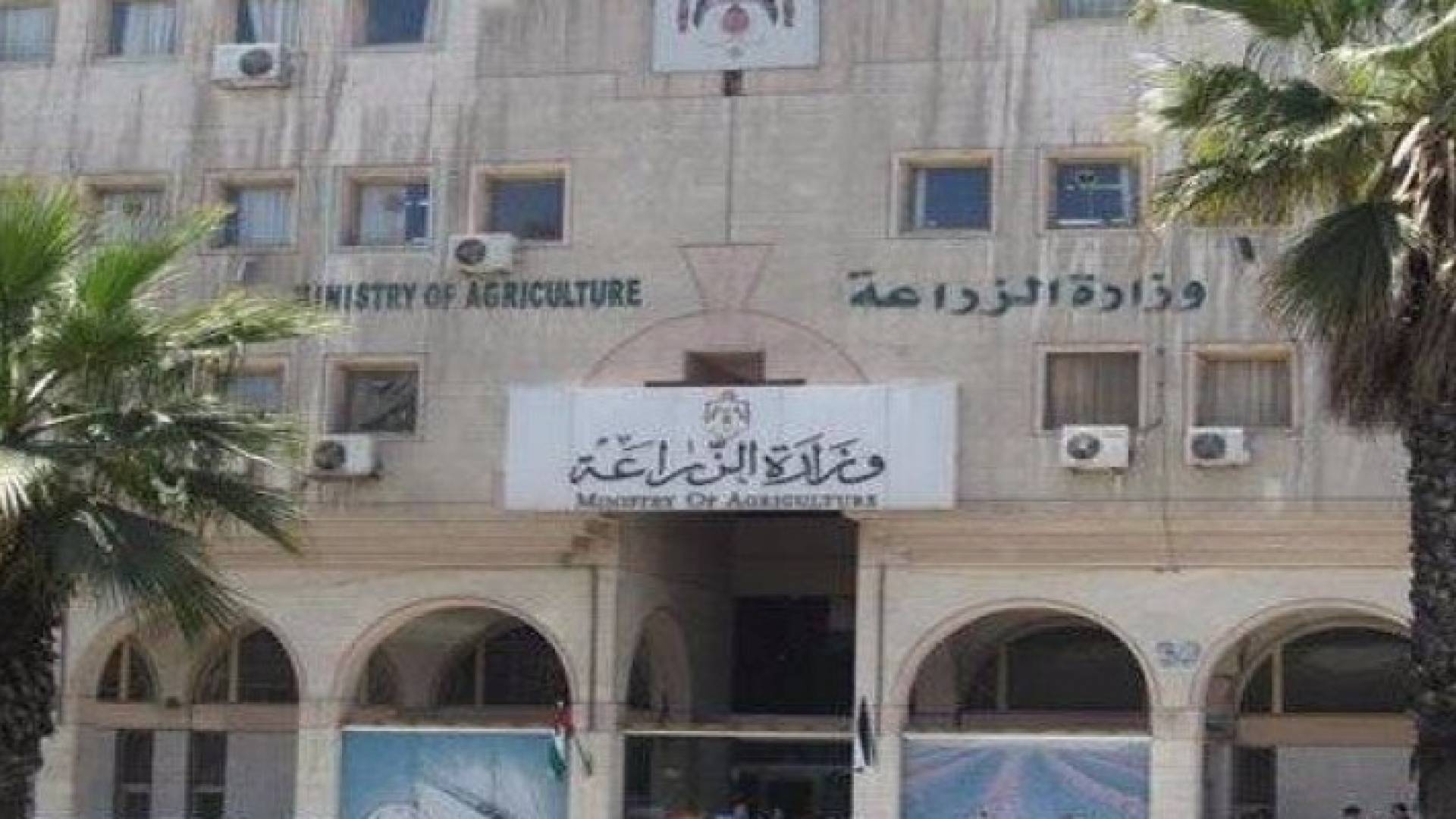تعبيرية