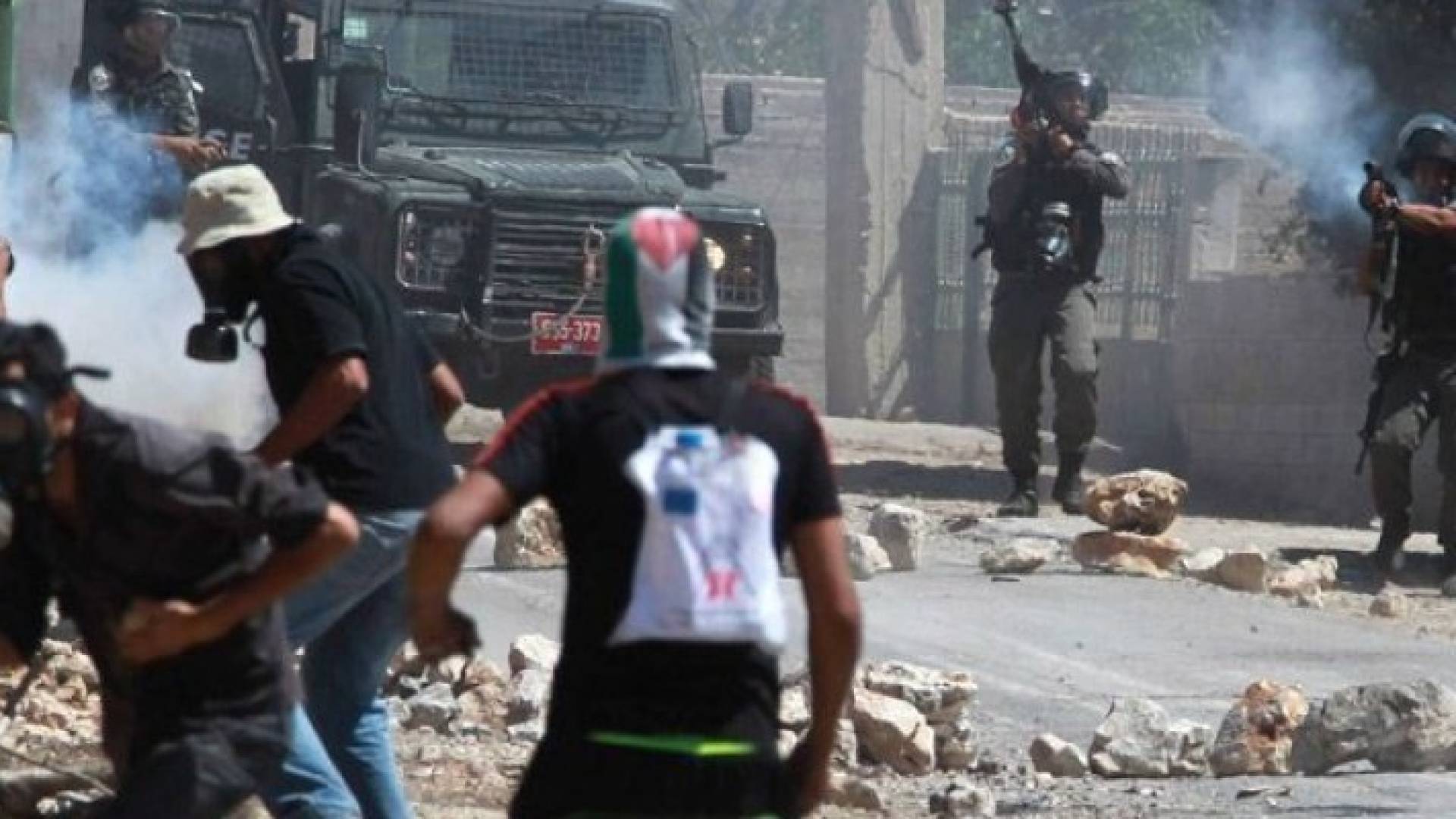 ارشيفية