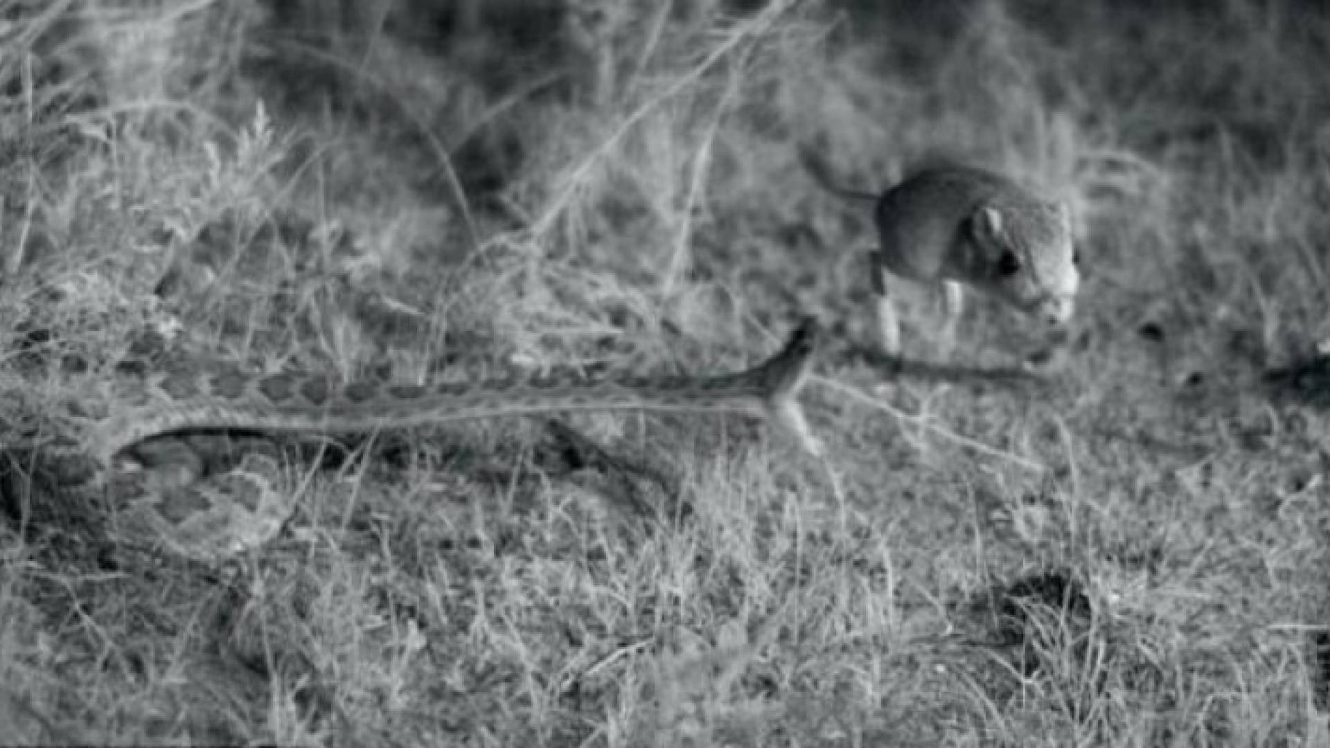 صورة من الفيديو