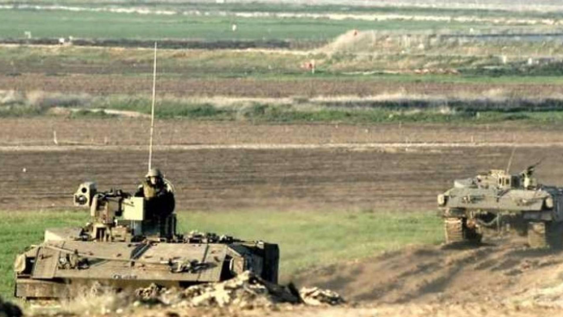ارشيفية