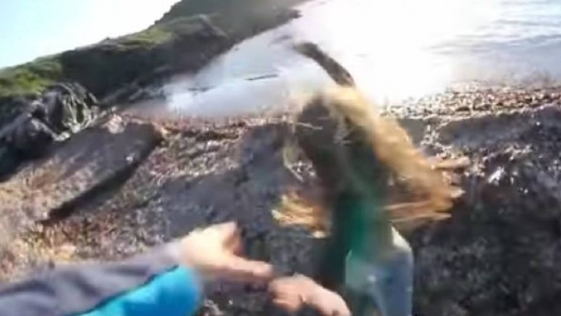 الصورة من الفيديو