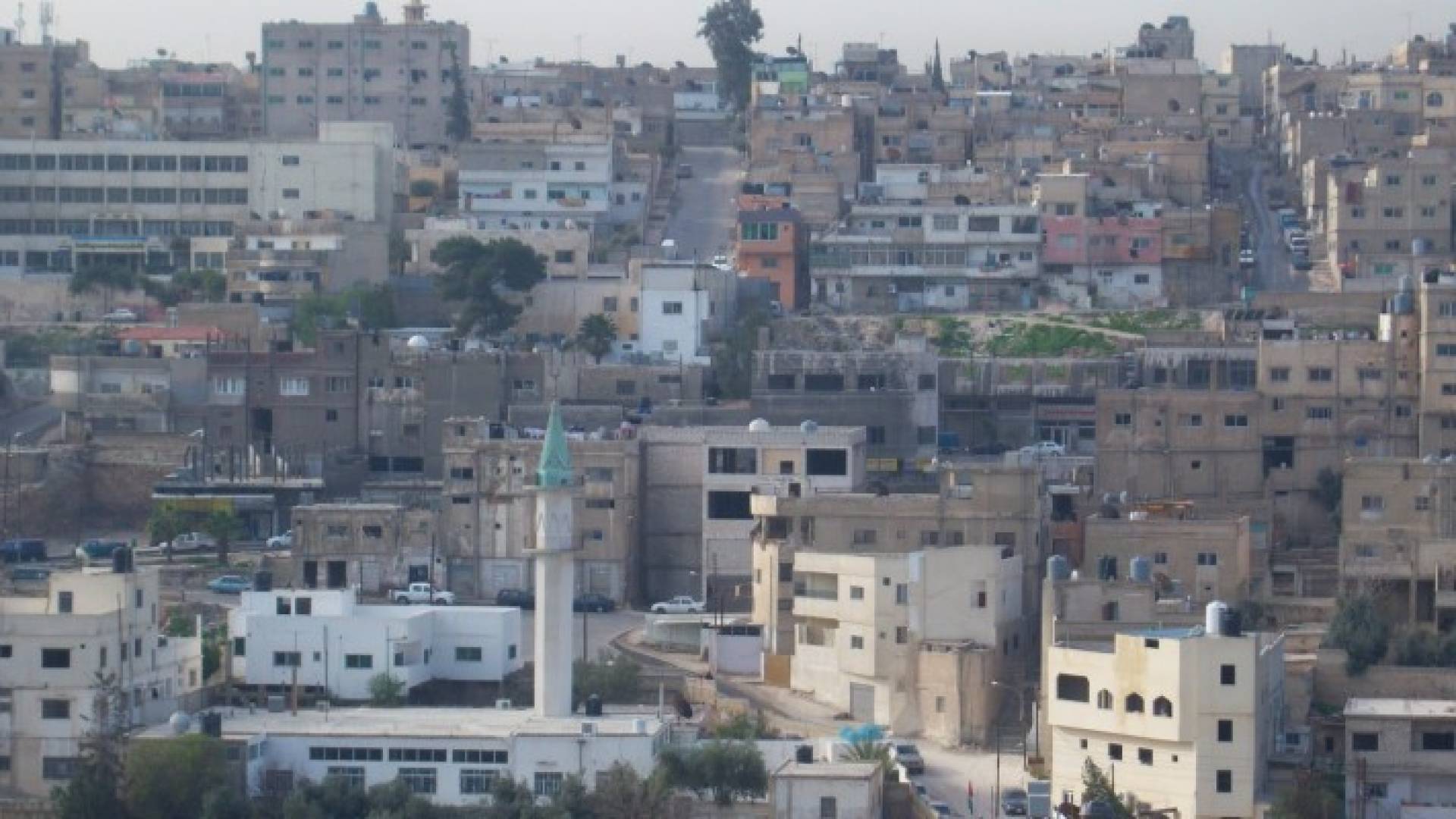 ارشيفية