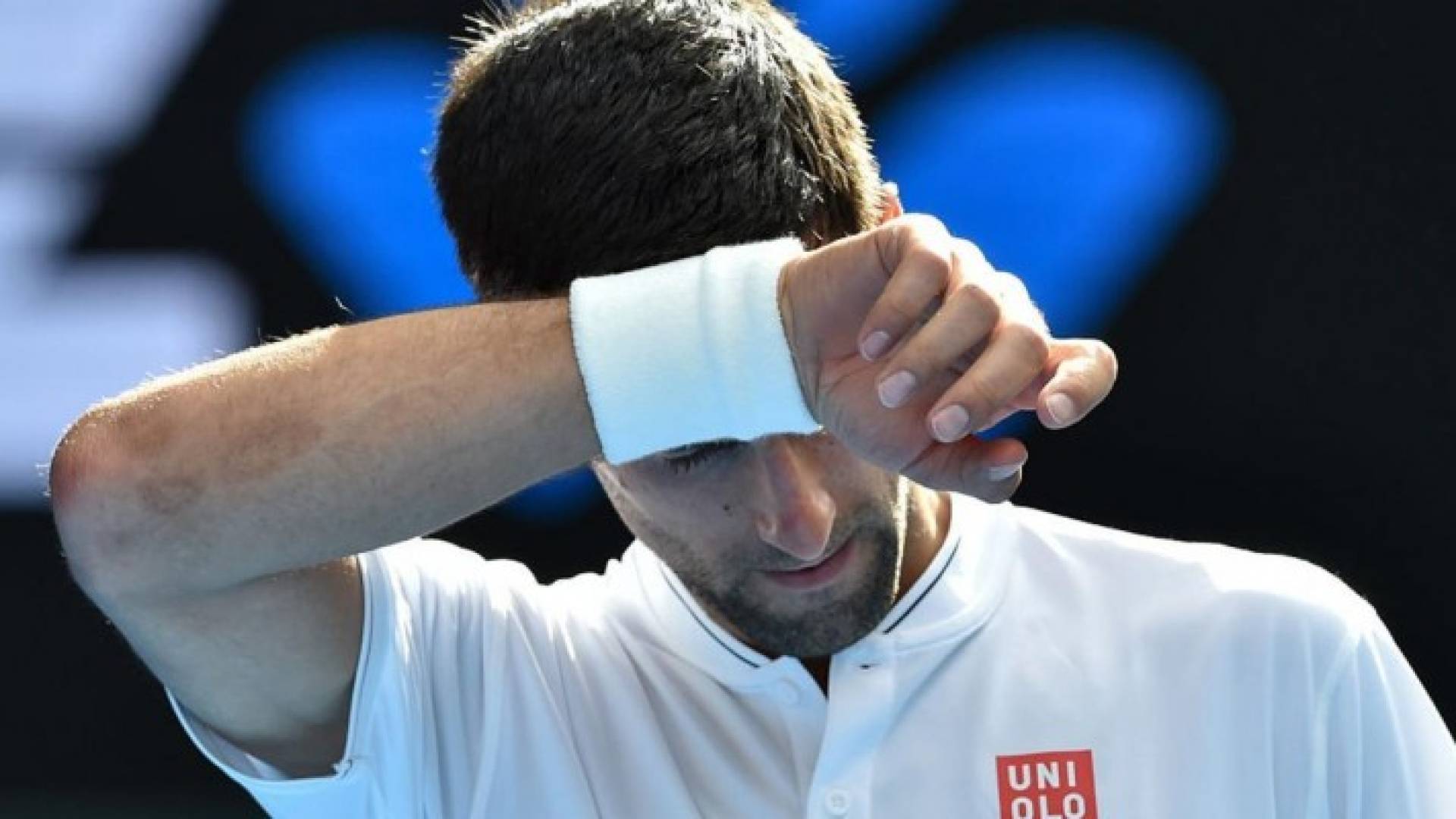 نوفاك دجوكوفيتش