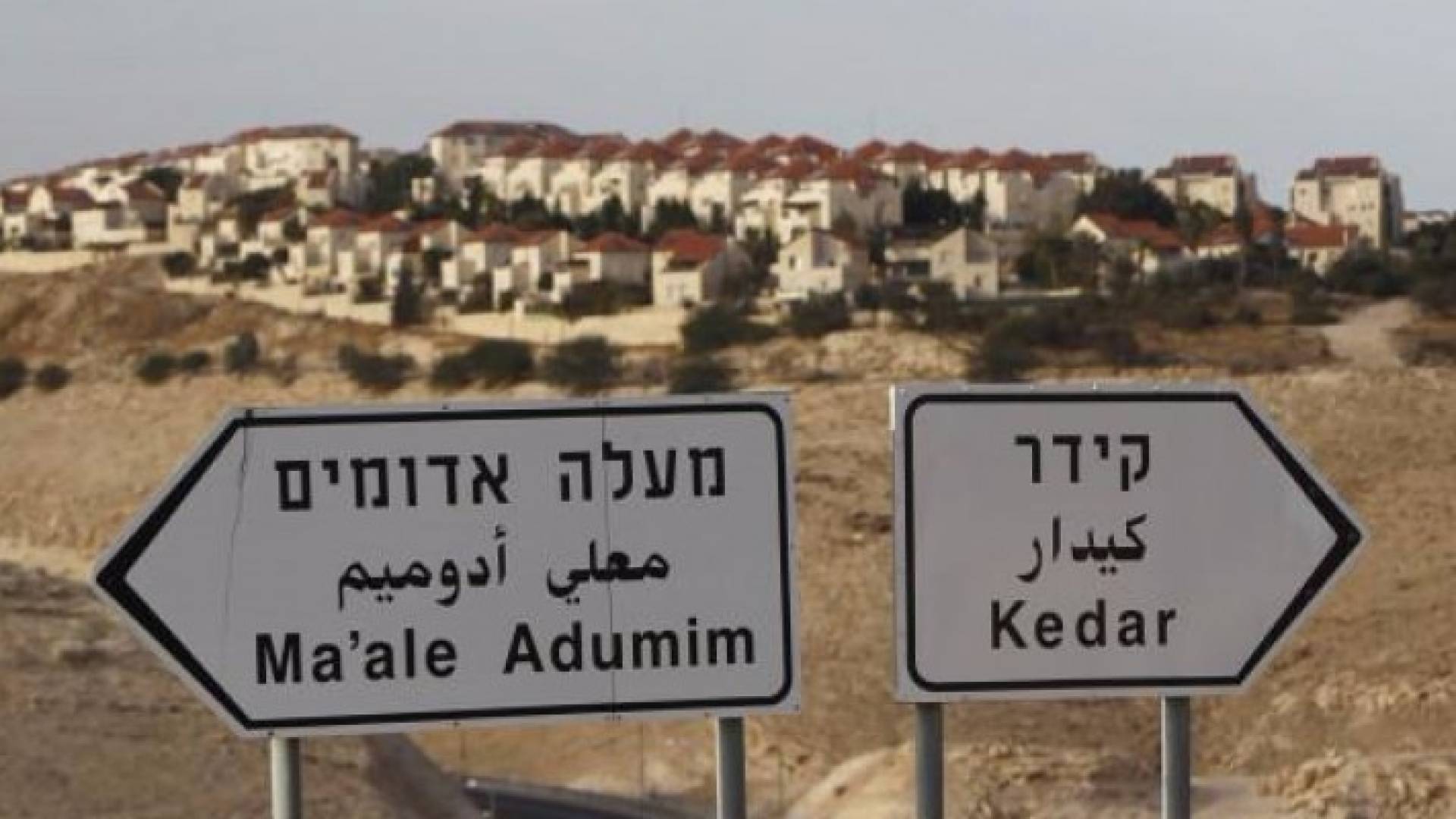 مستوطنة "معاليه أدوميم"