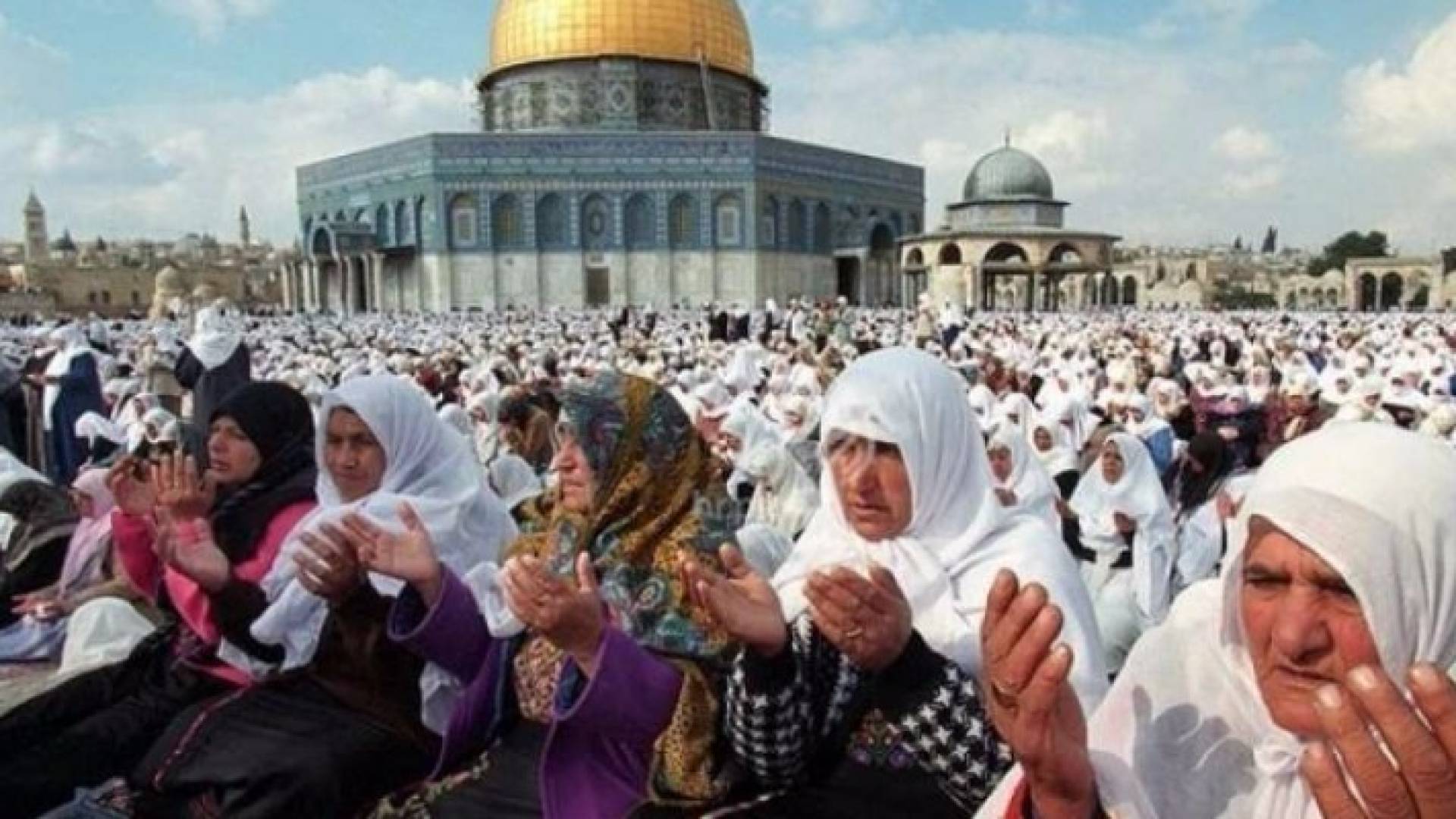 ارشيفية