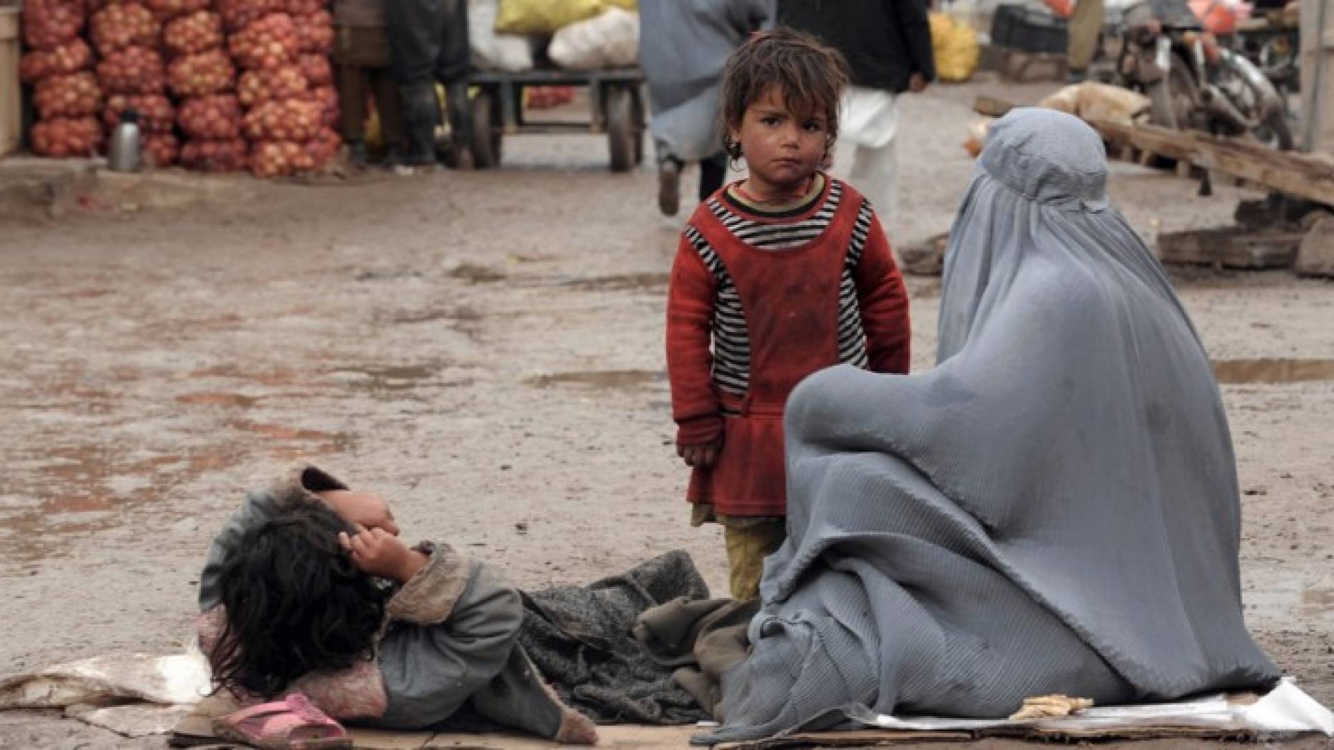 عاد اكثر من 600 الف لاجىء افغاني من باكستان وايران الى بلادهم