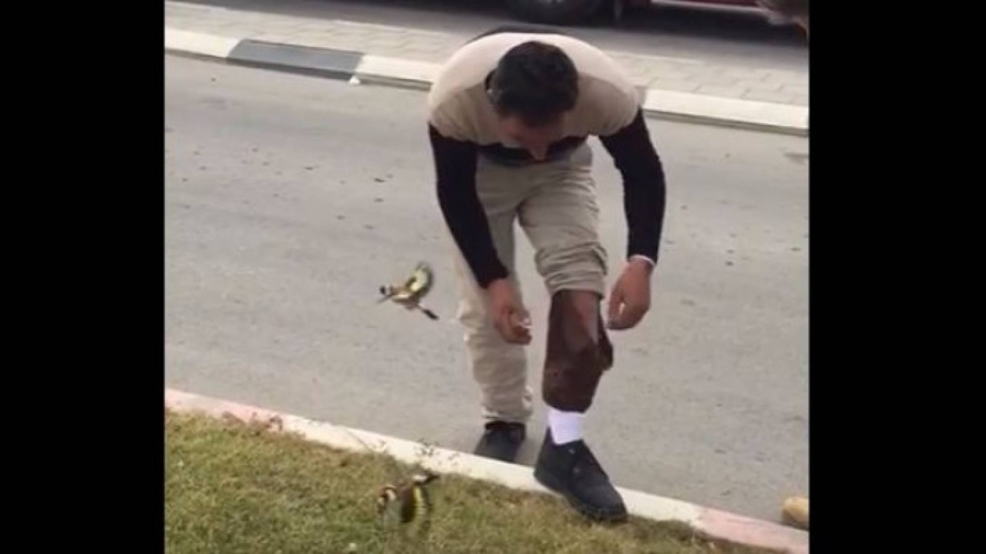 صورة من الفيديو 