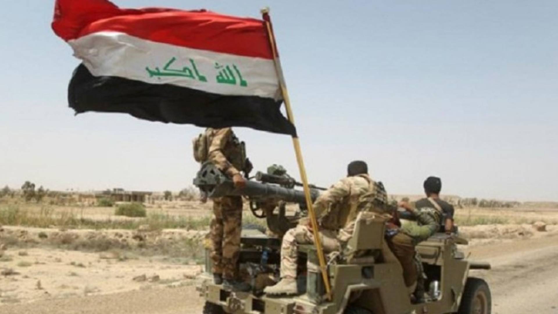 ارشيفية