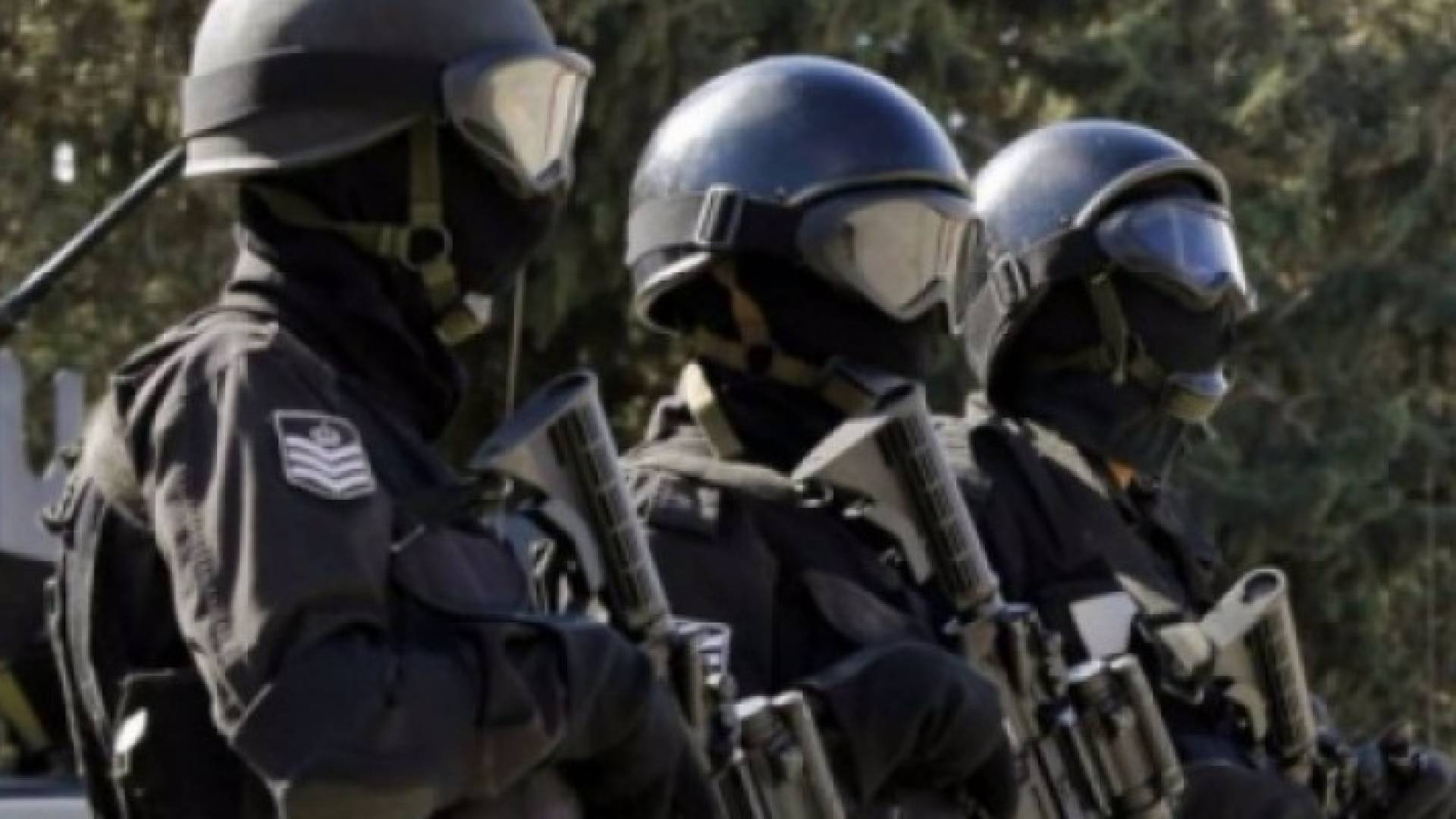 ارشيفية