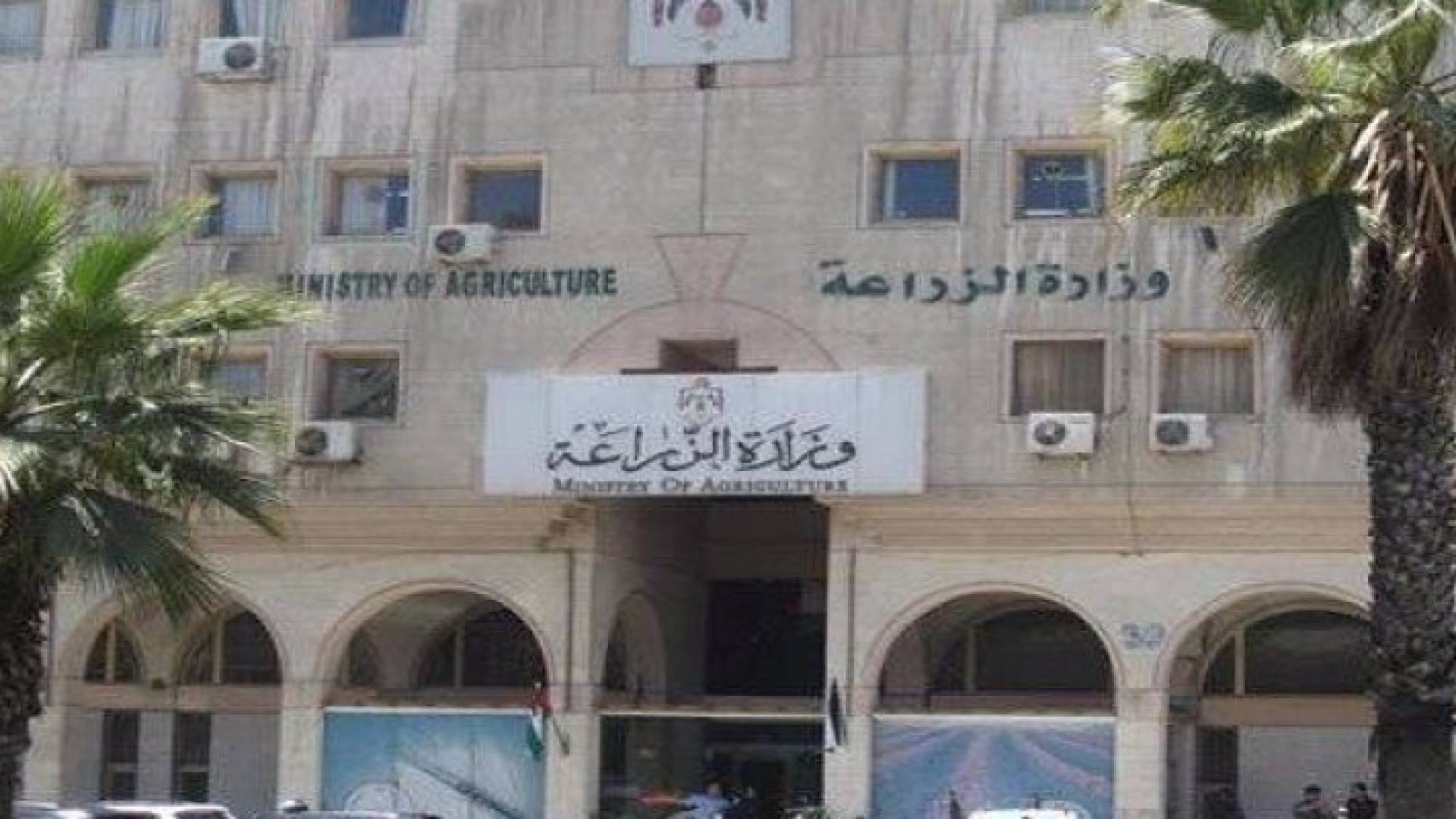 ارشيفية