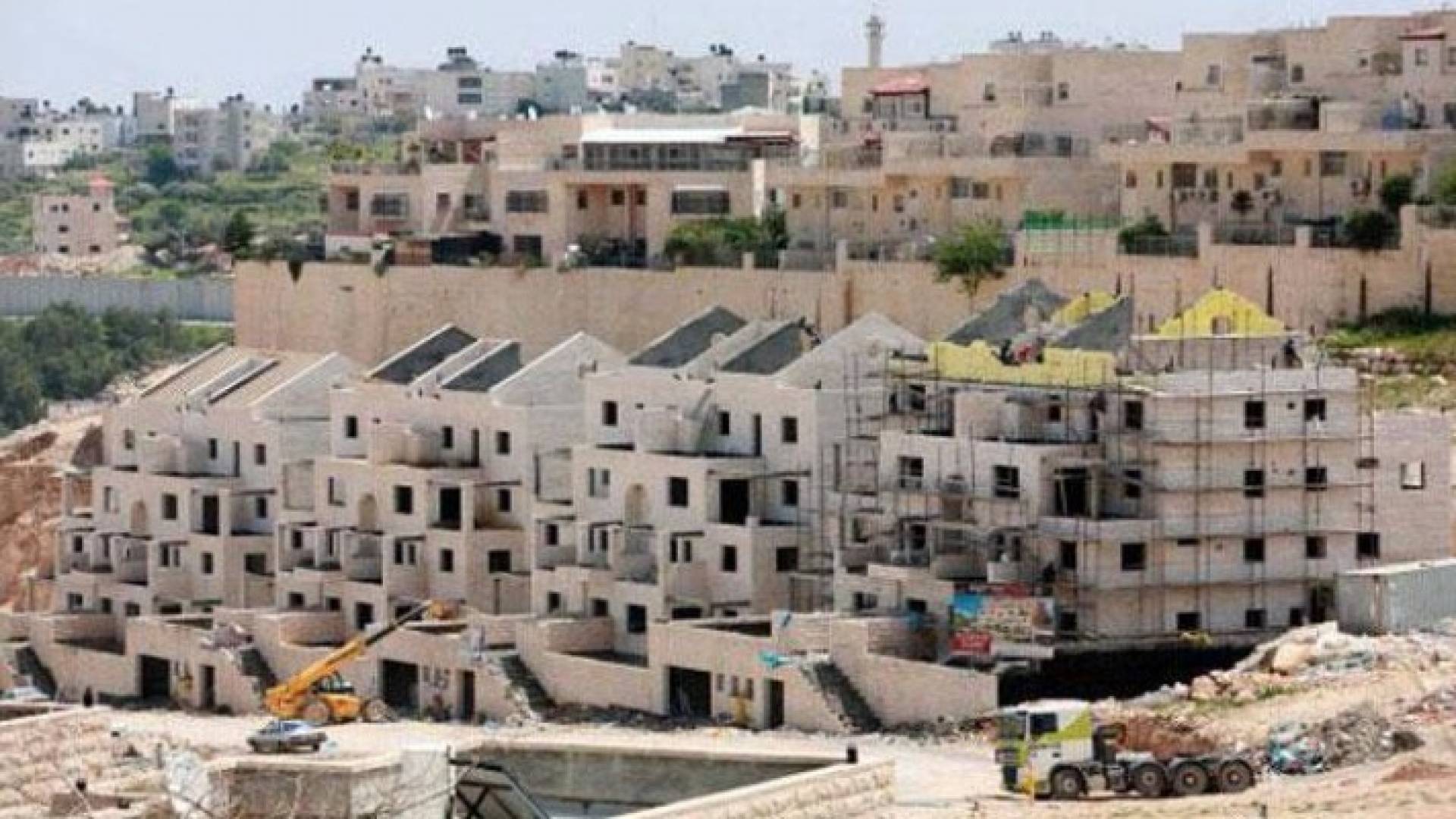 ارشيفية