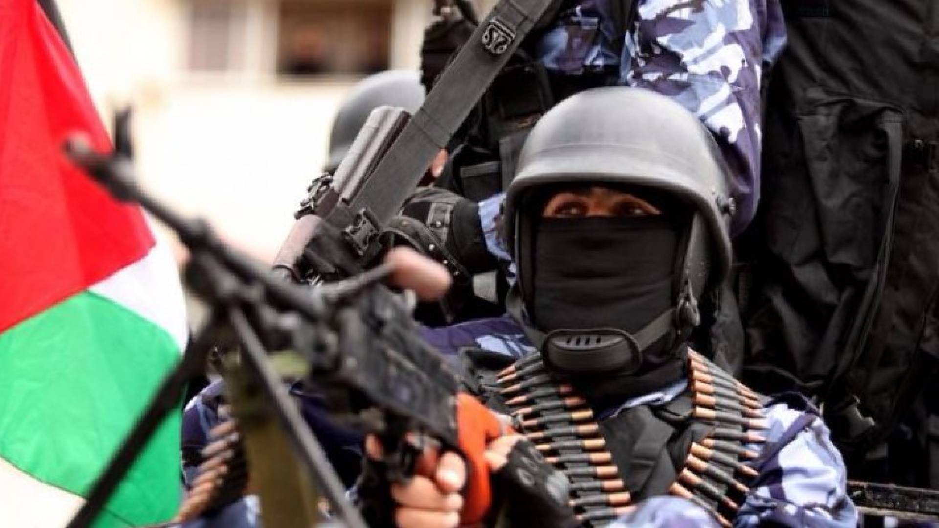 ارشيفية