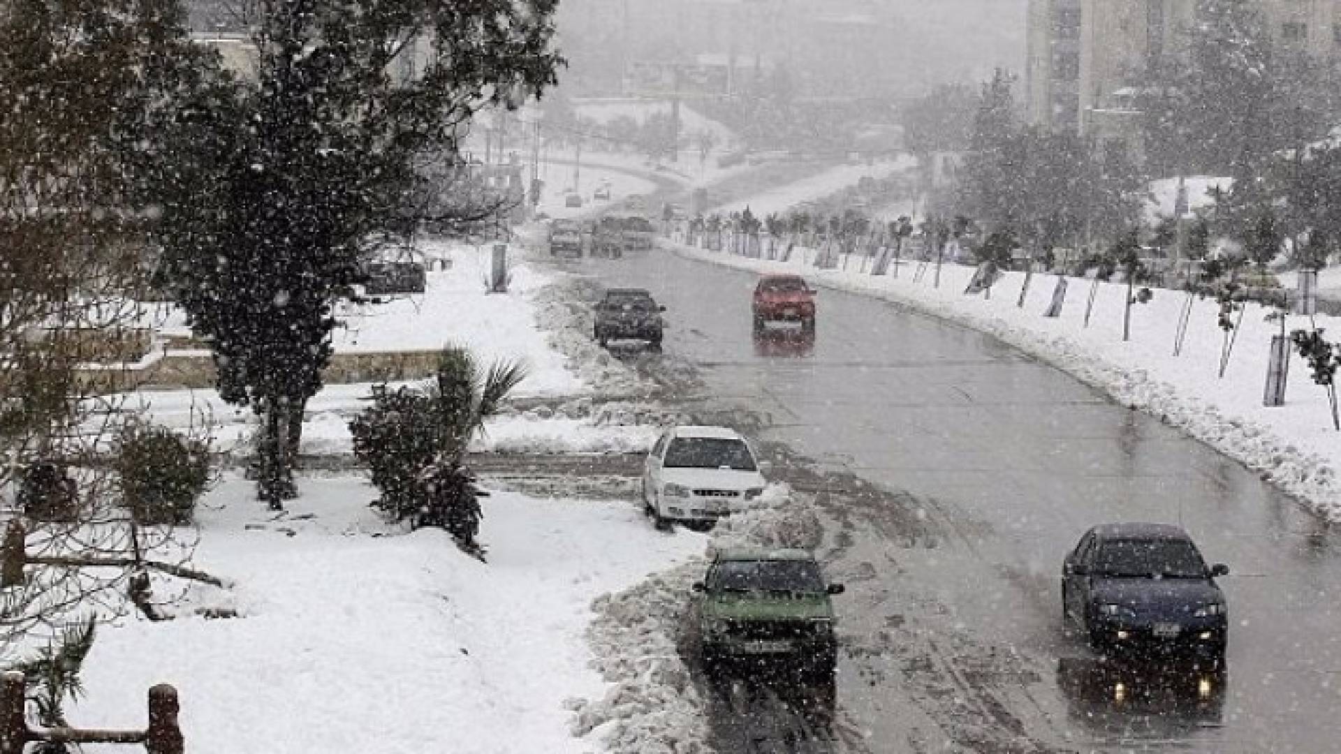 الصورة تعبيرية 