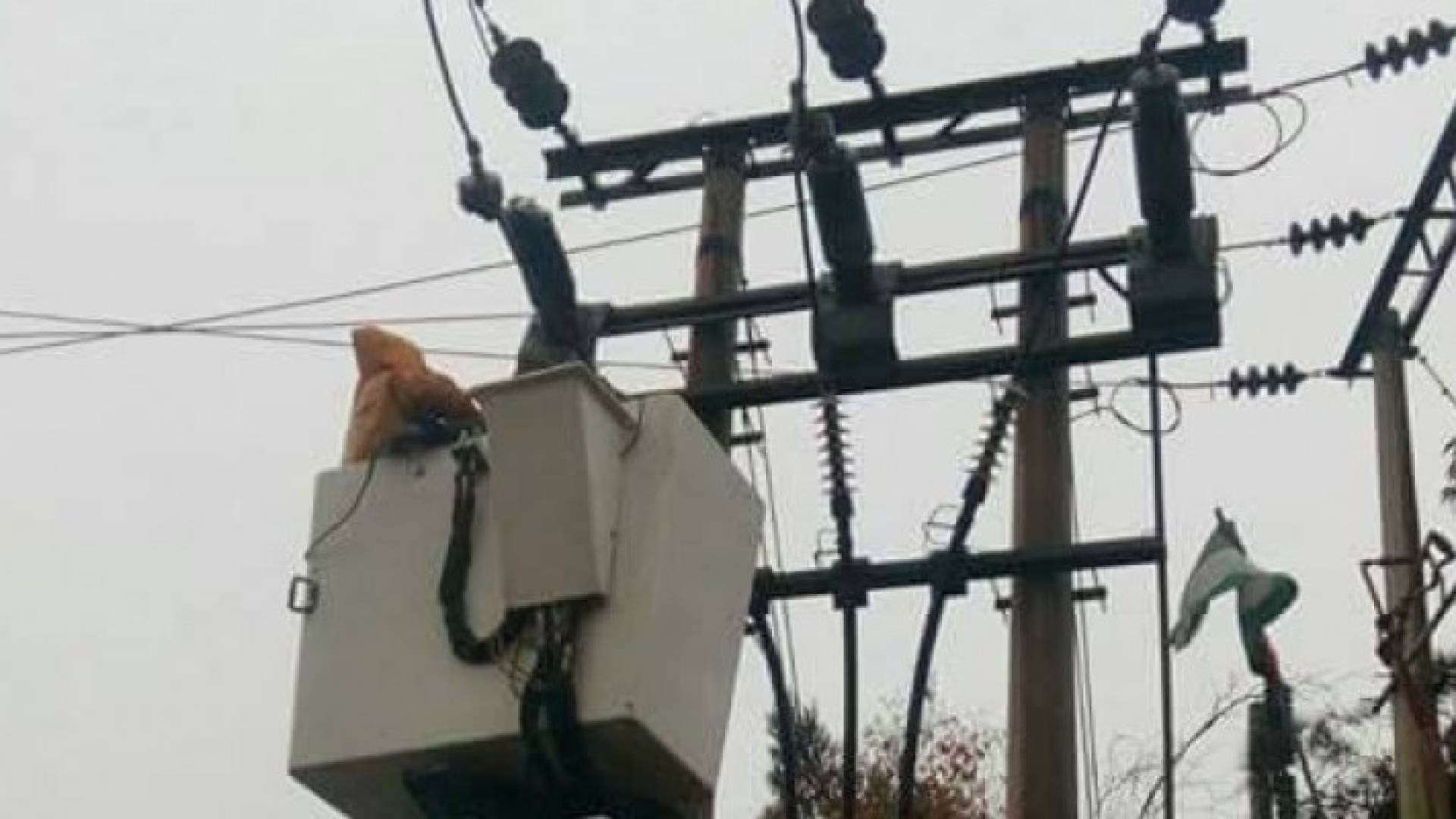 من اعمال الصيانة للشركة