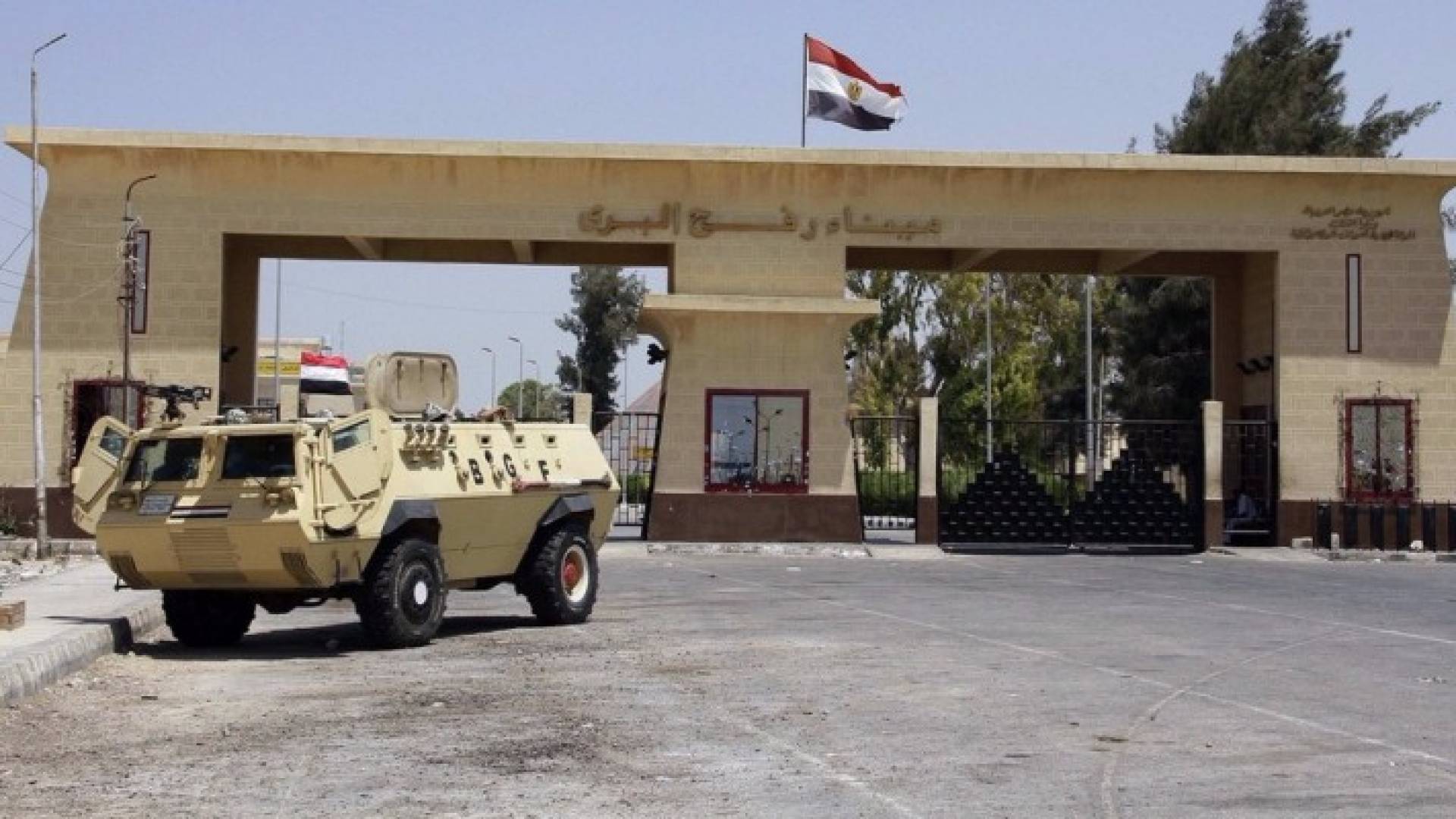 ارشيفية