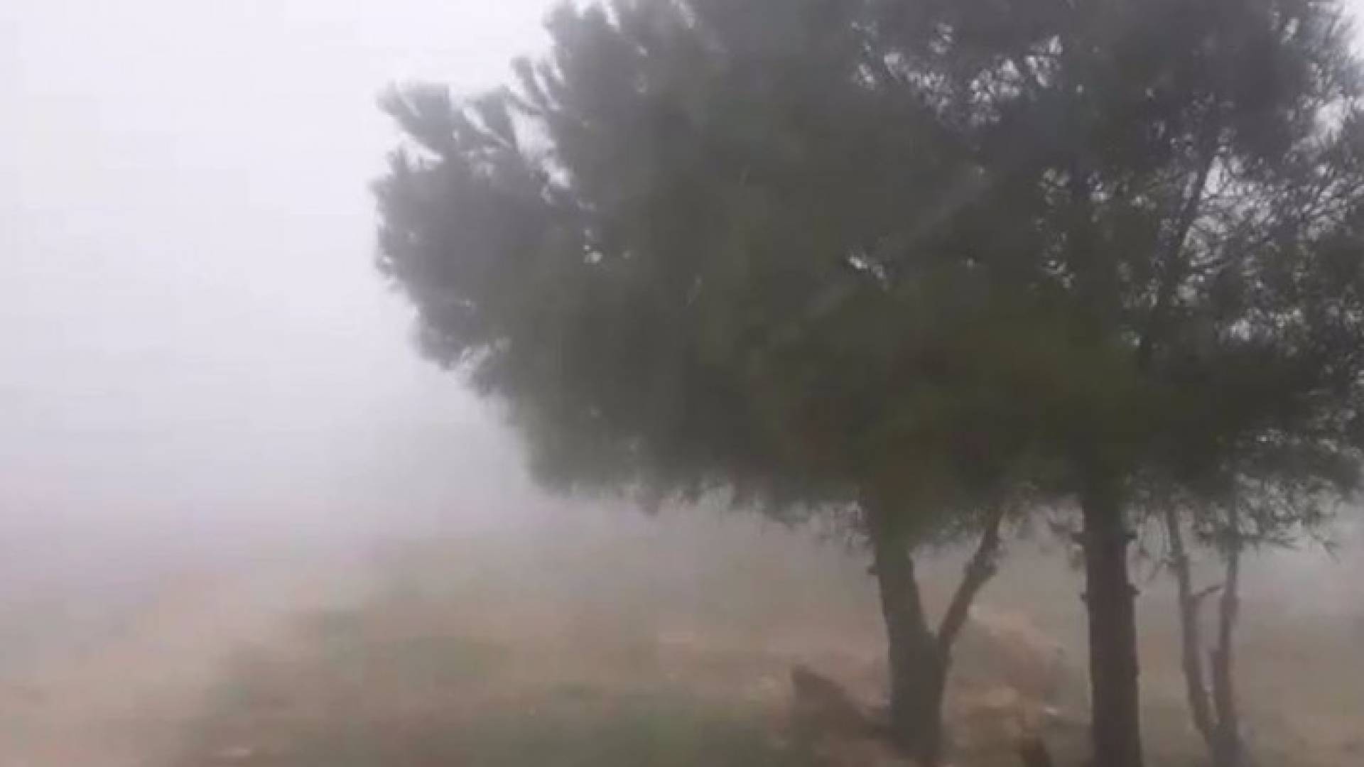  ازدياد الفعالية الجوية خلال الساعات القادمة 