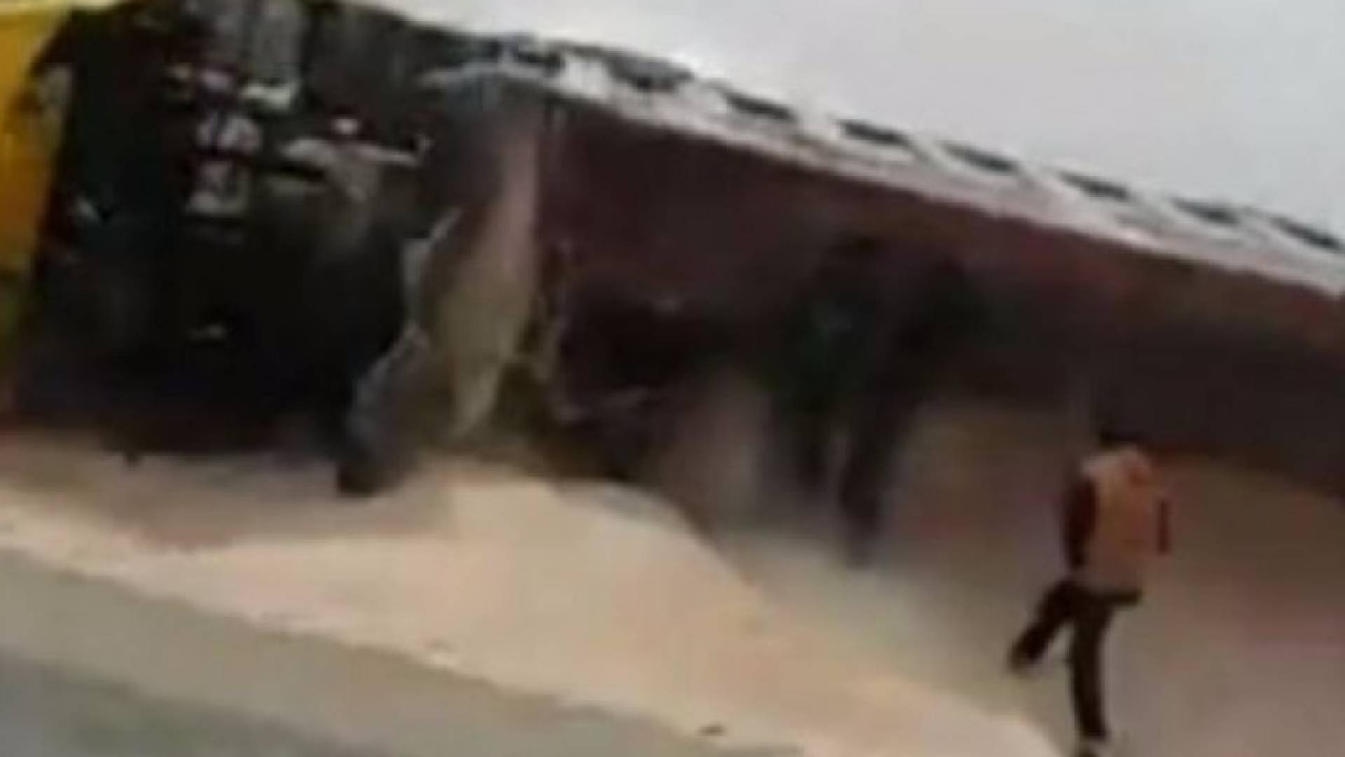 صورة من الفيديو 