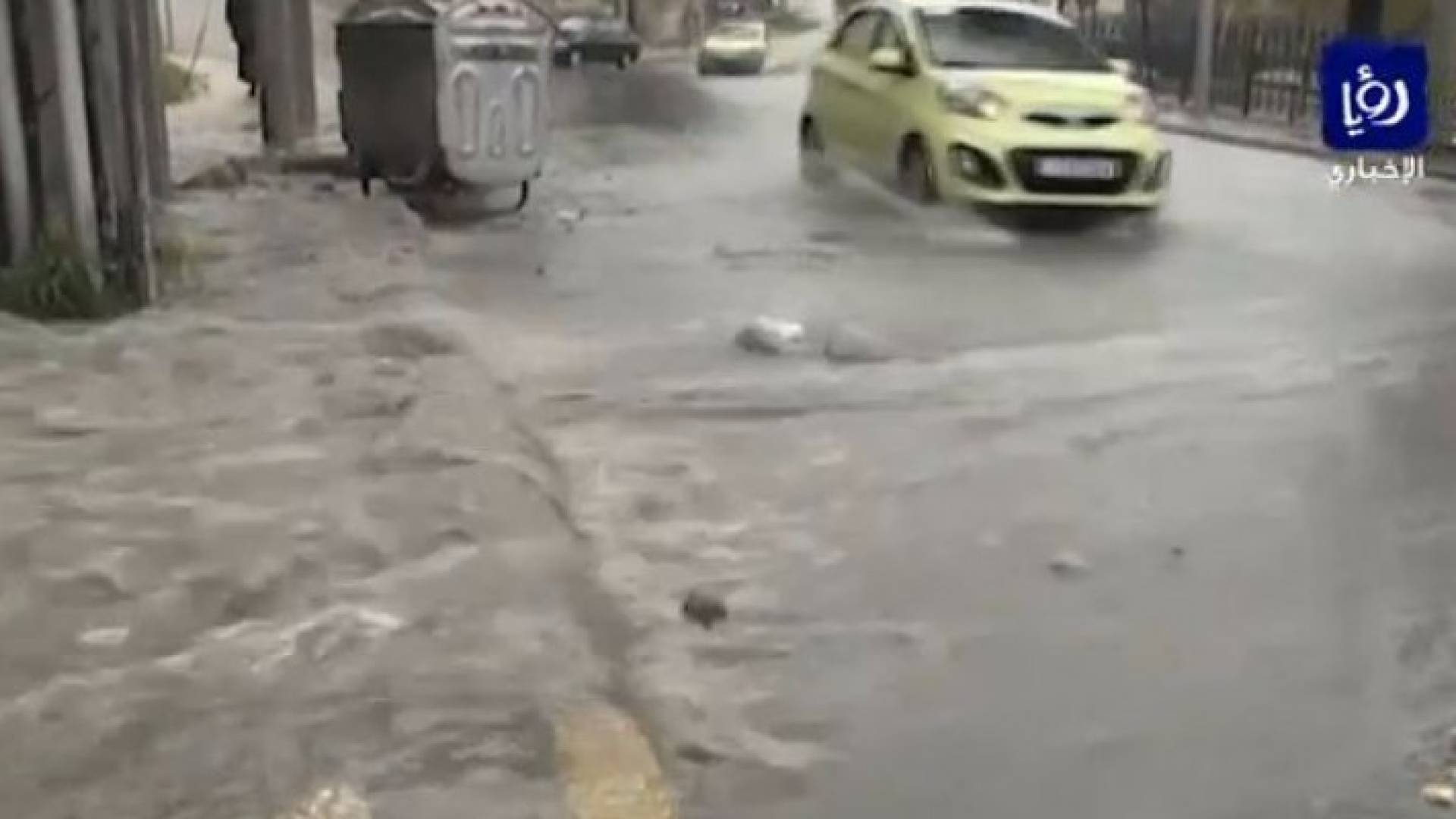صورة من الفيديو 