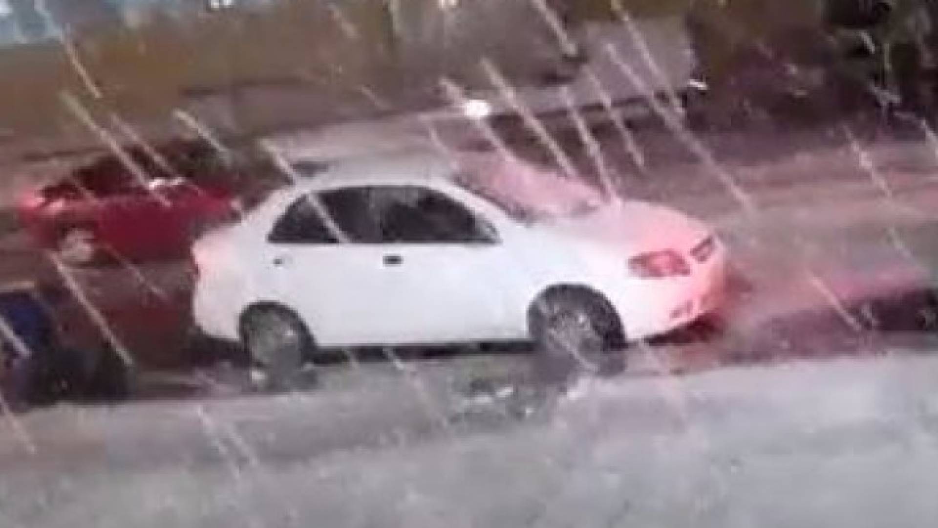 صورة من الفيديو 