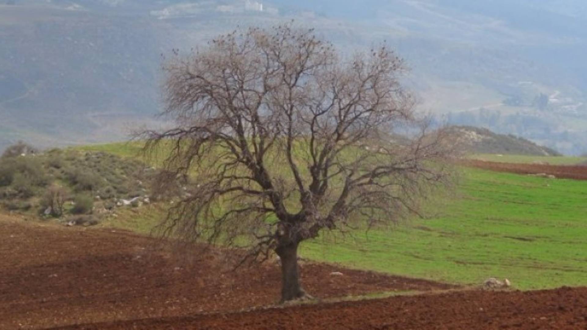 الصورة أرشيفية 