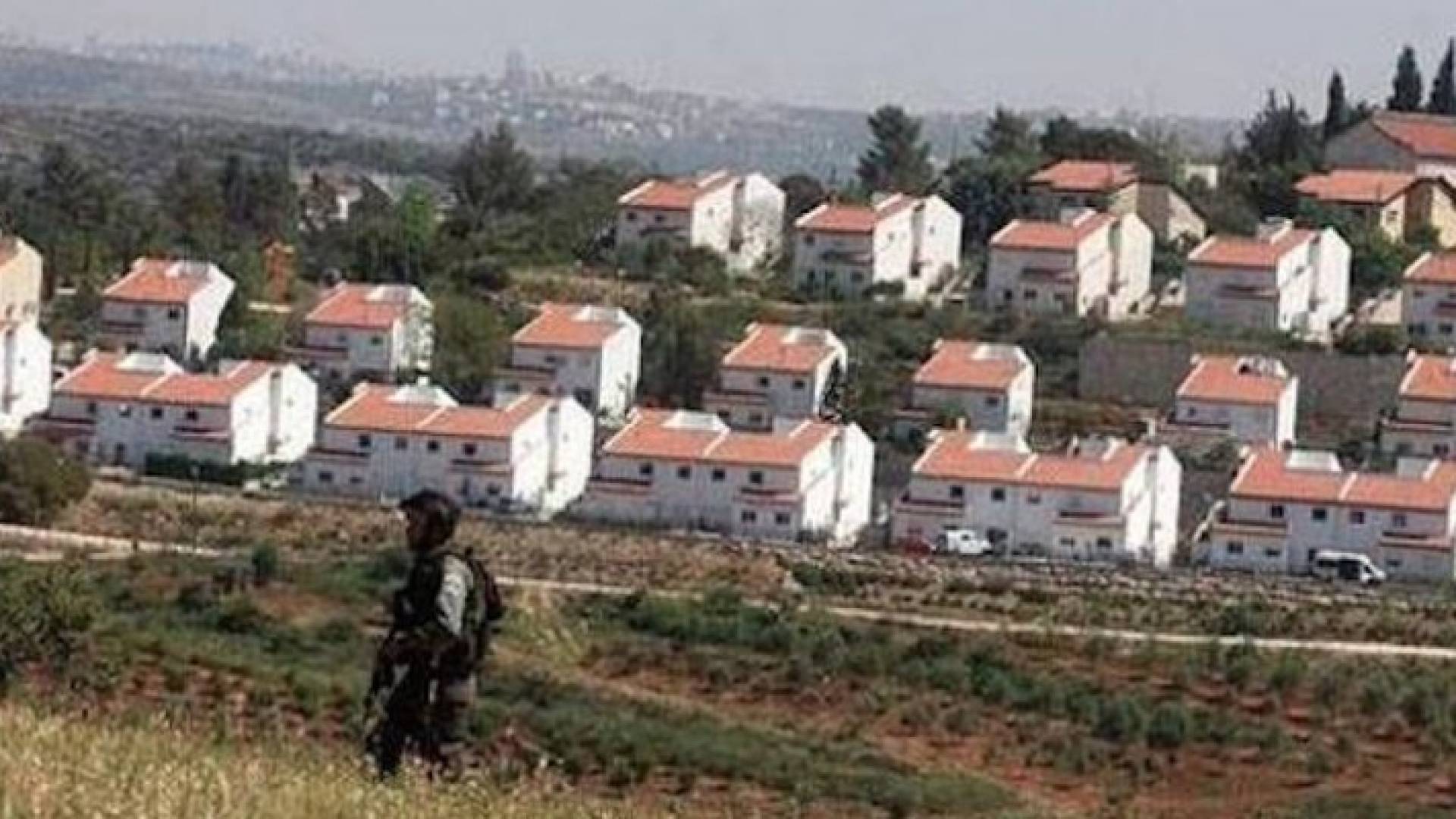 مستوطنات للاحتلال الاسرائيلي في الاراضي الفلسطينية 
