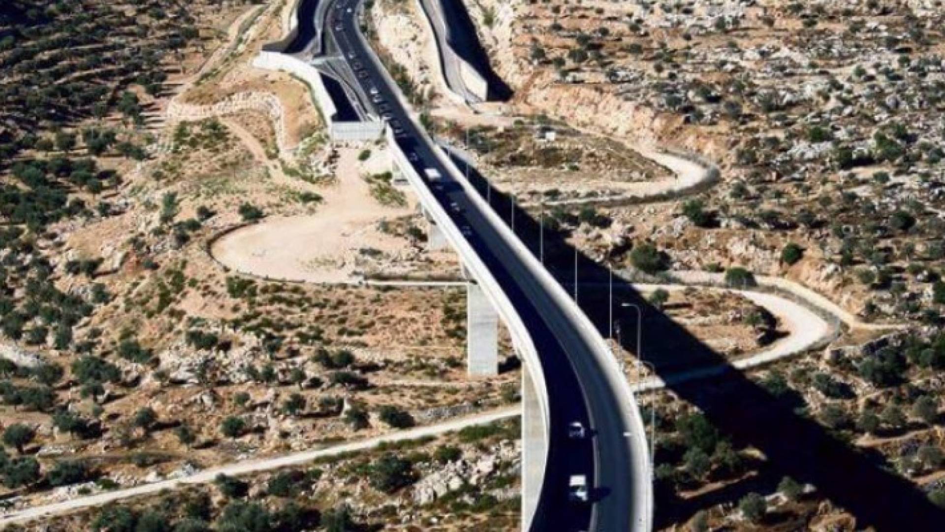 ارشيفية