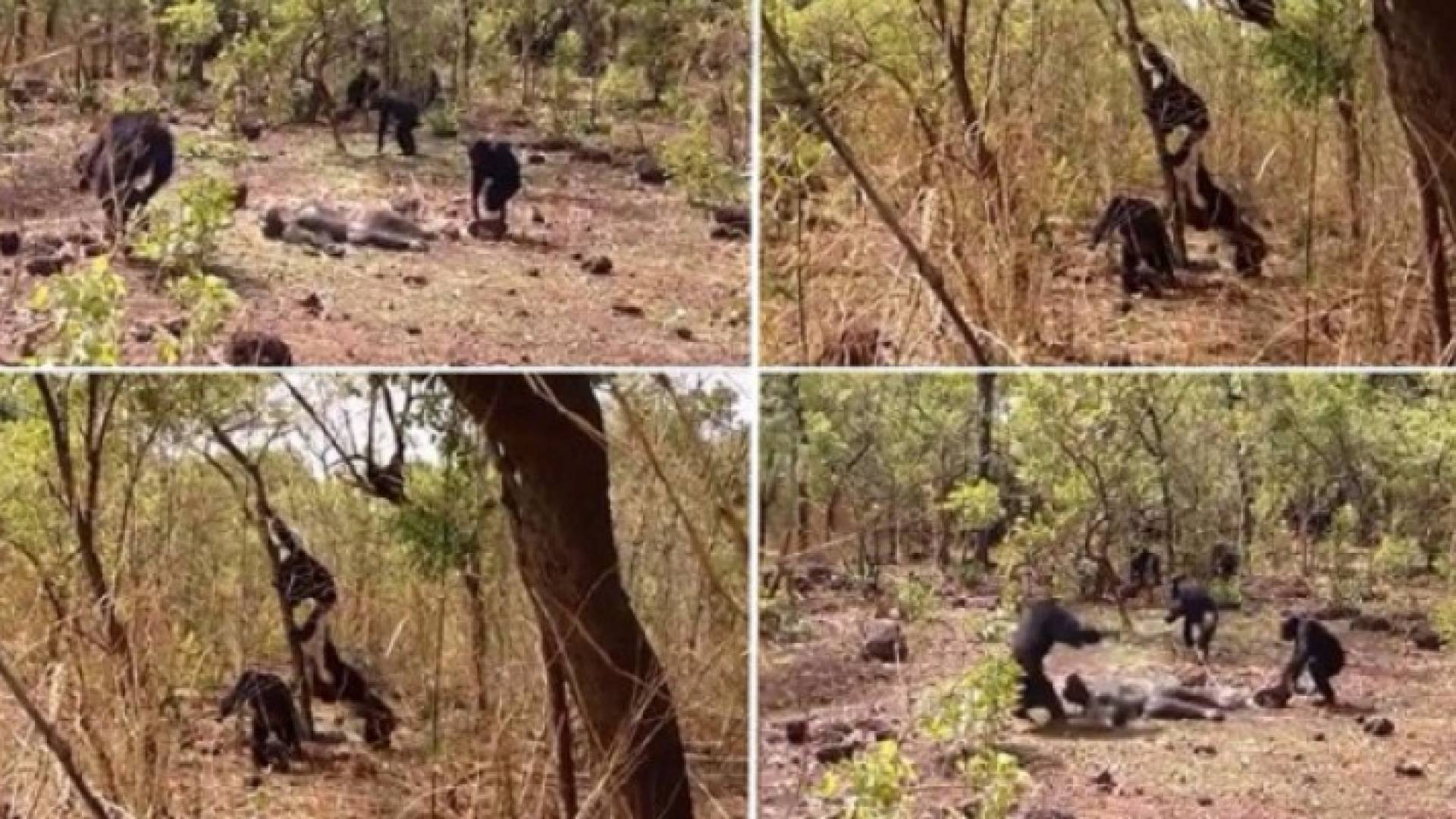 المراحل النهائية للاغتيال