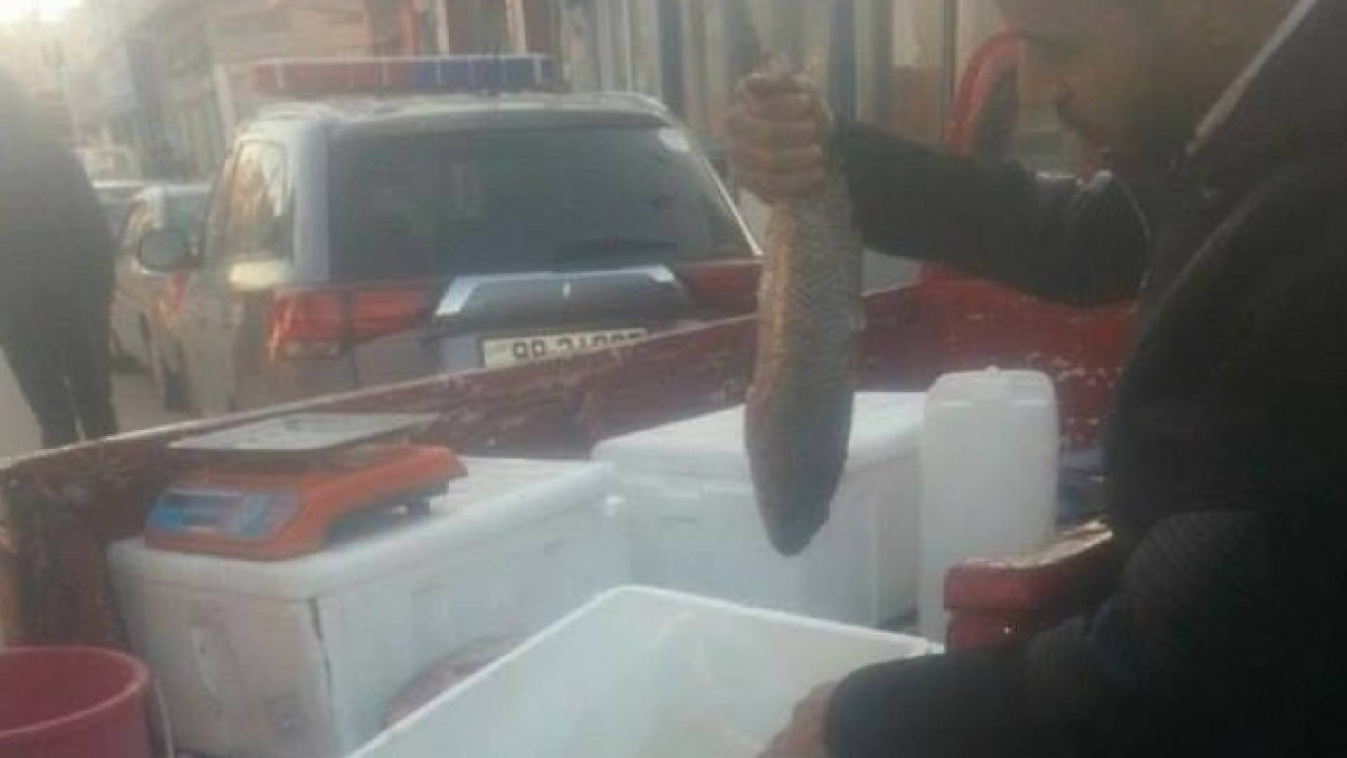 جانب من الحملة