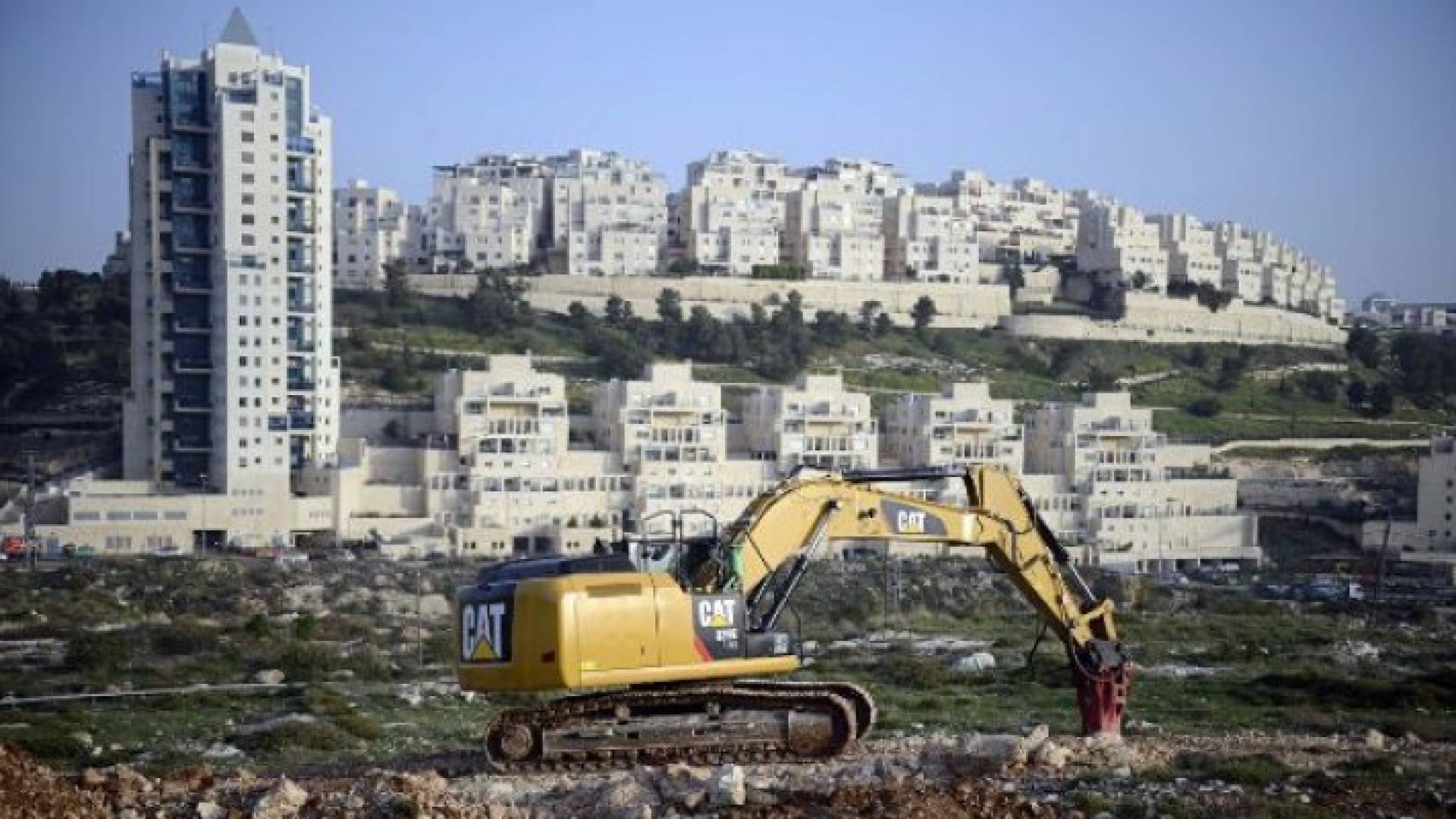 الصورة أرشيفية 