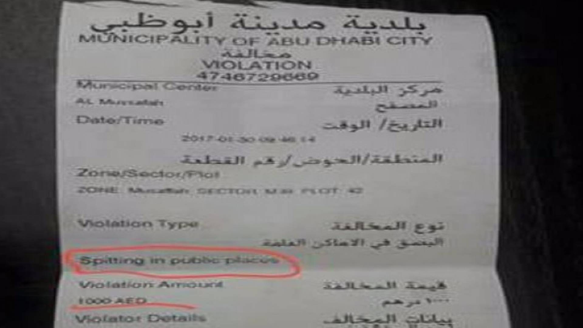 الصورة من مواقع التواصل الاجتماعي