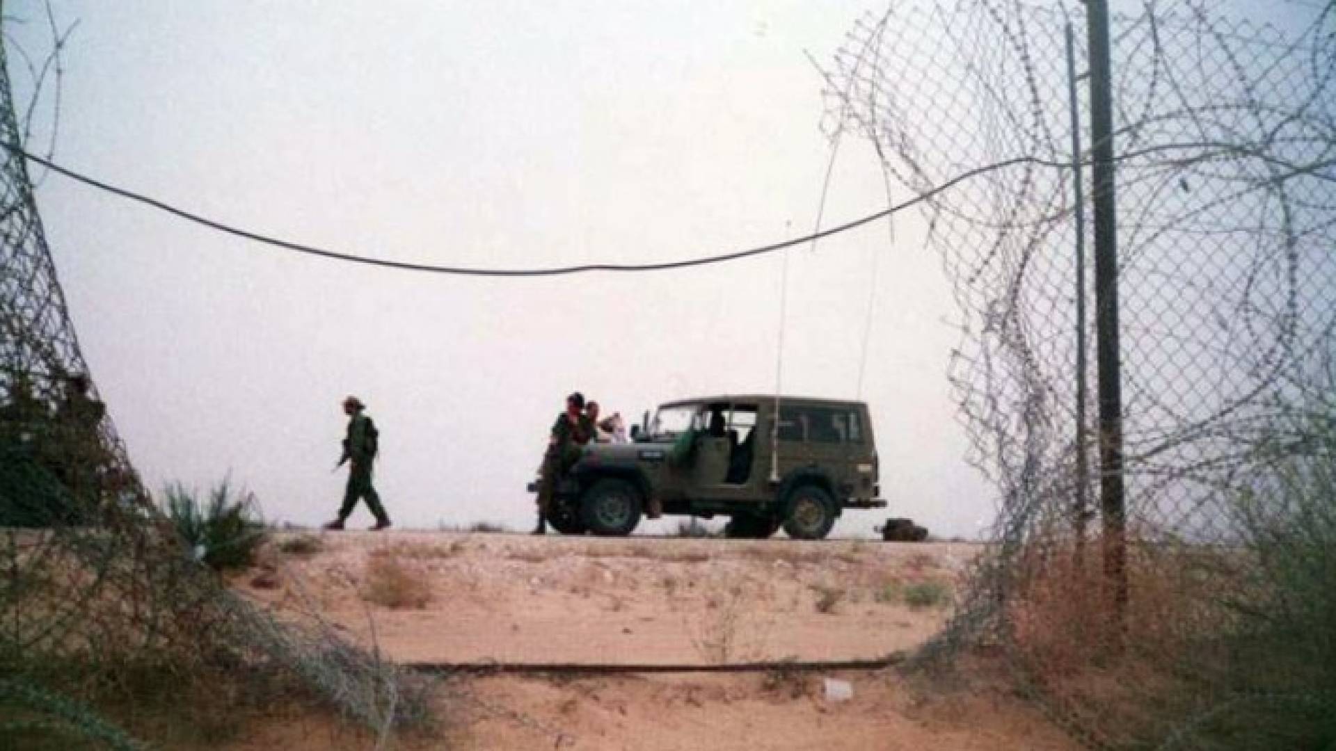 ارشيفية