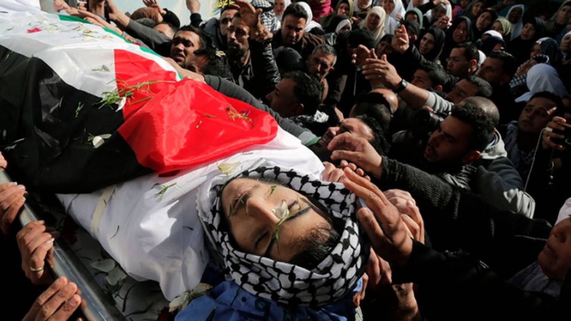 الشهيد قصي العمور