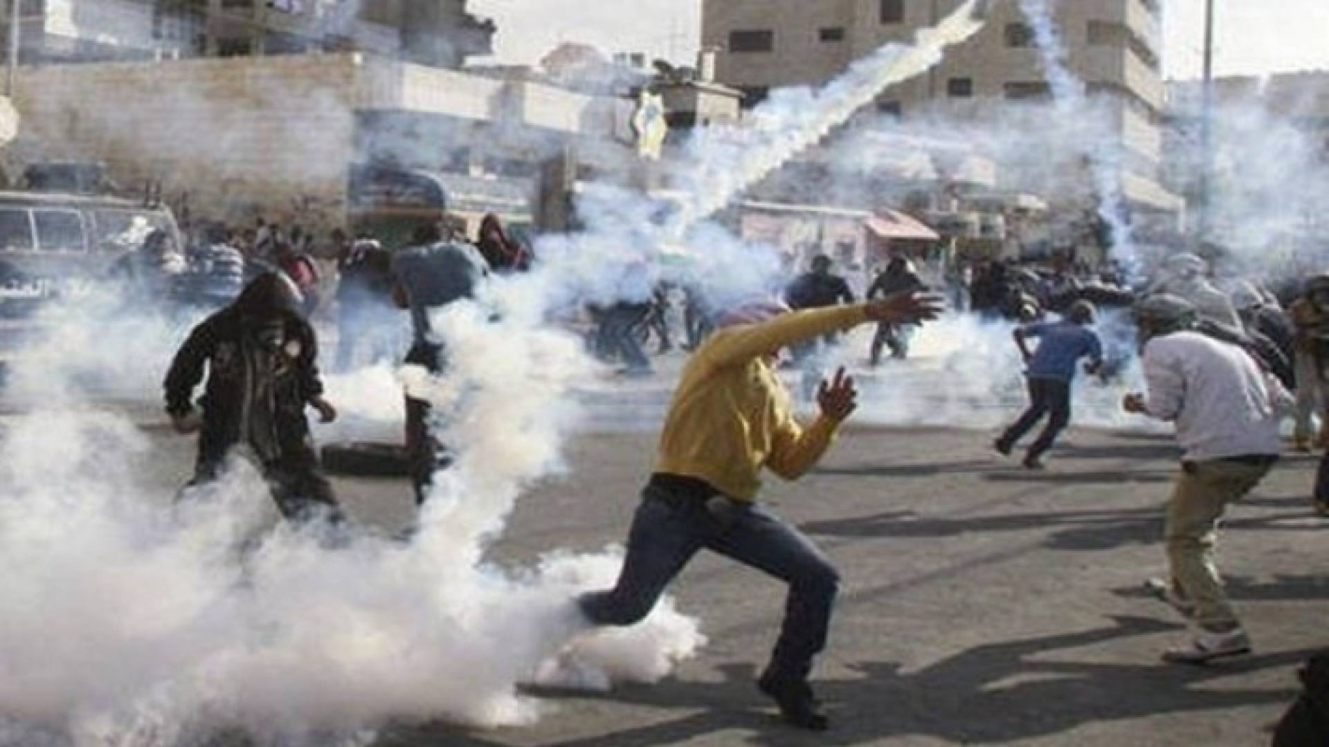 ارشيفية