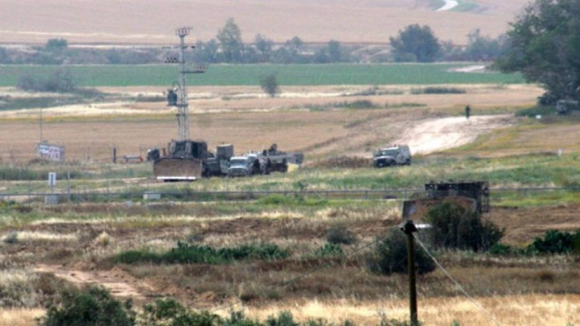 ارشيفية