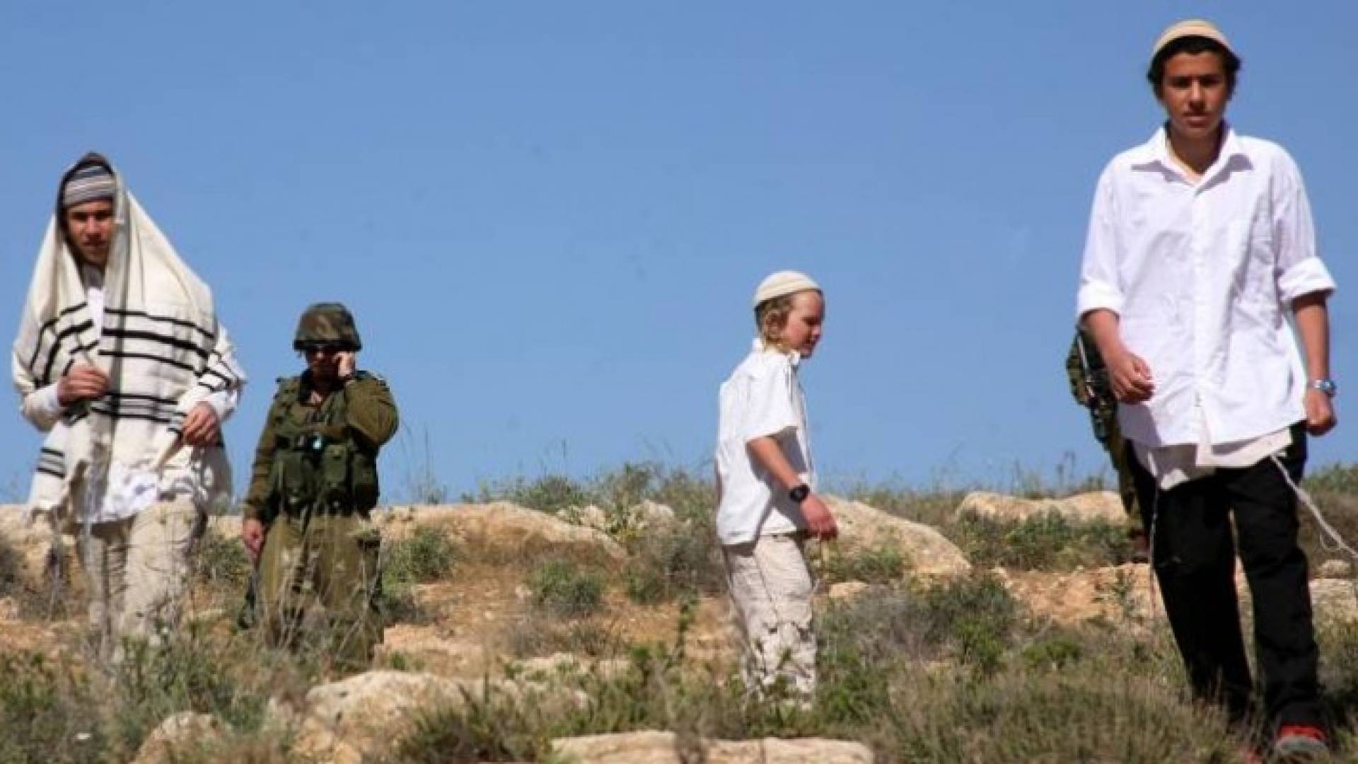 ارشيفية
