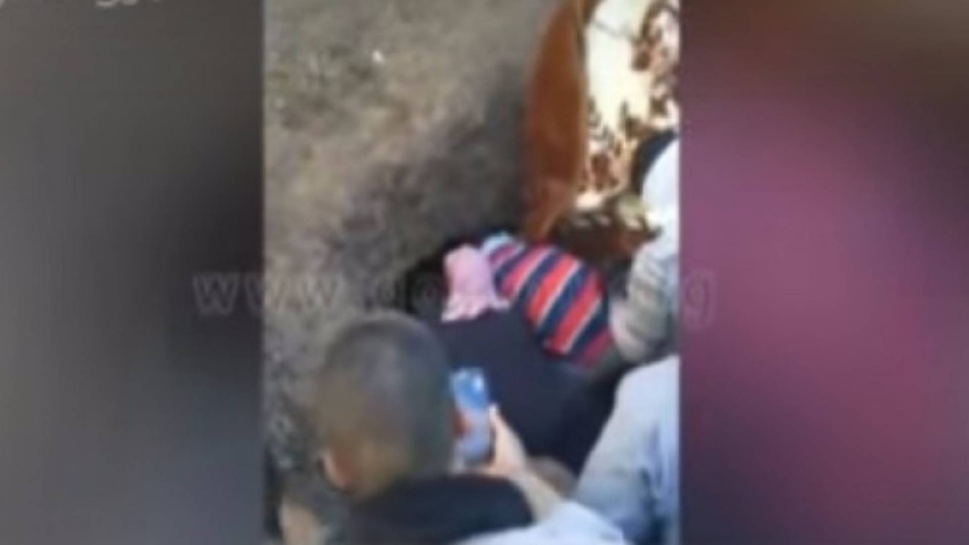 صورة من الفيديو 