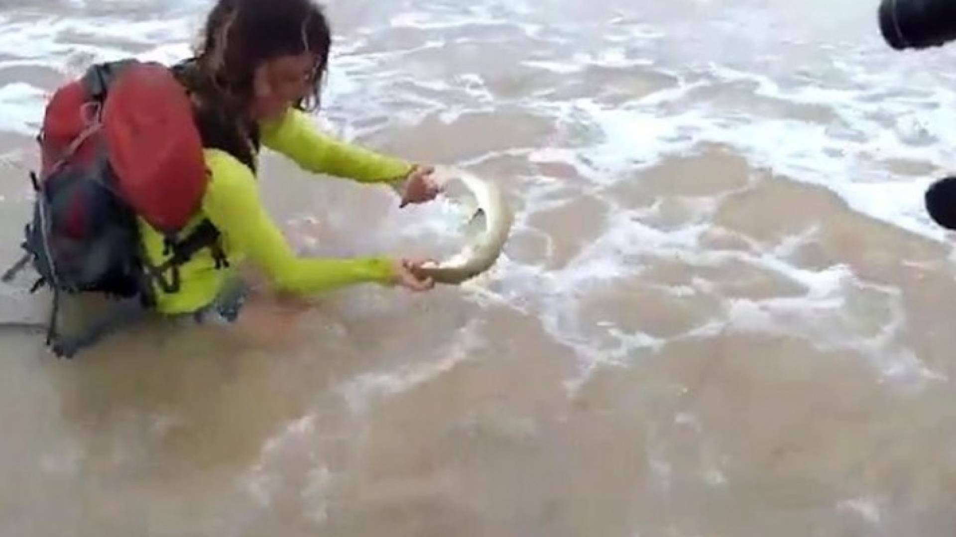الصورة من الفيديو 