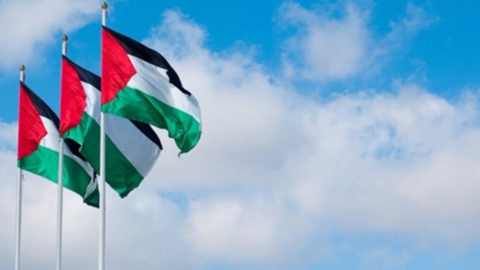 علم فلسطين - ارشيف