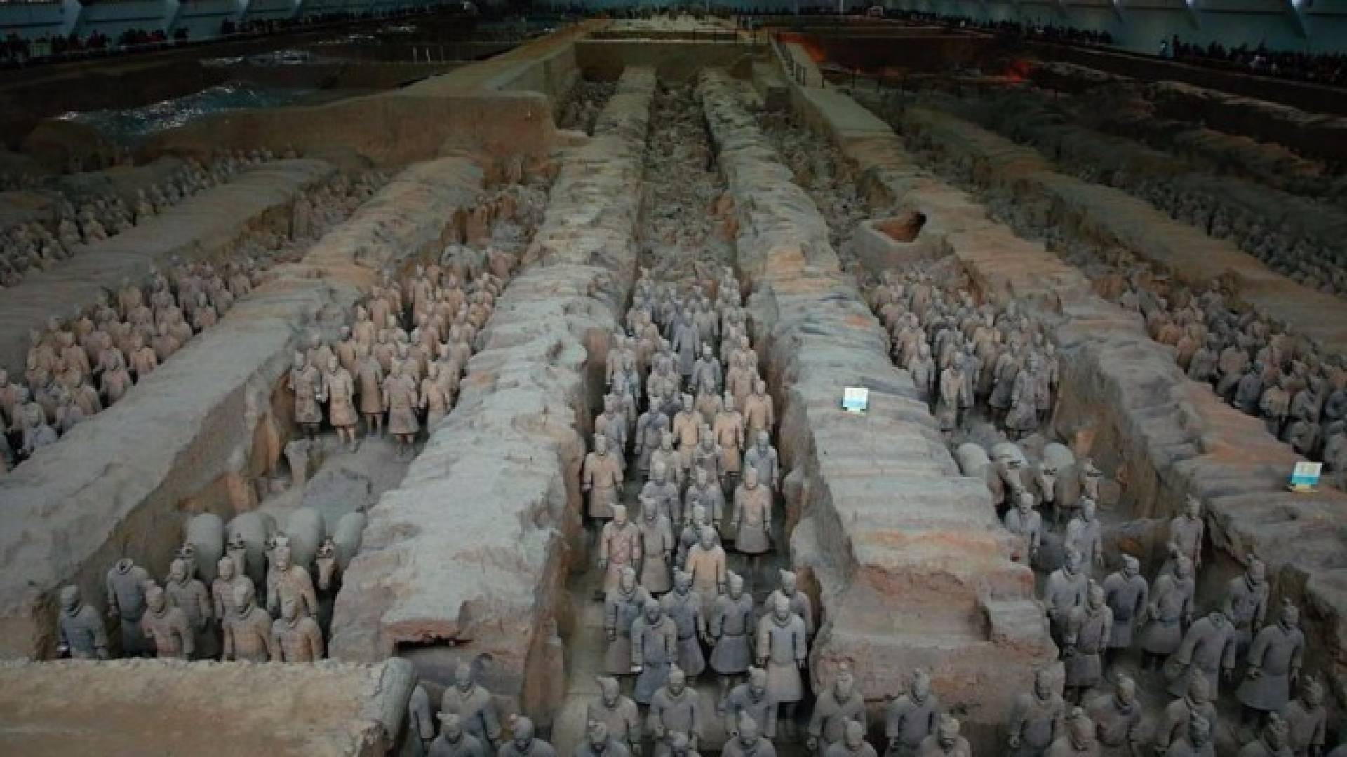 التماثيل الحقيقية لجيش الطين والنسخ المقلدة تطابقها تماما