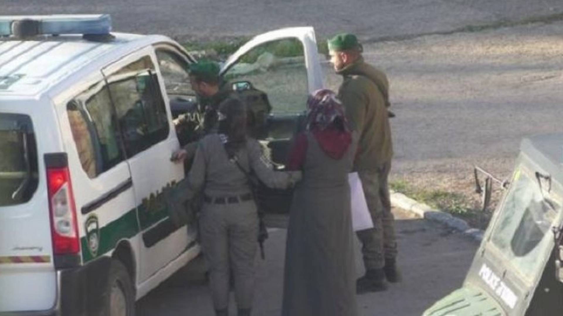 ارشيفية