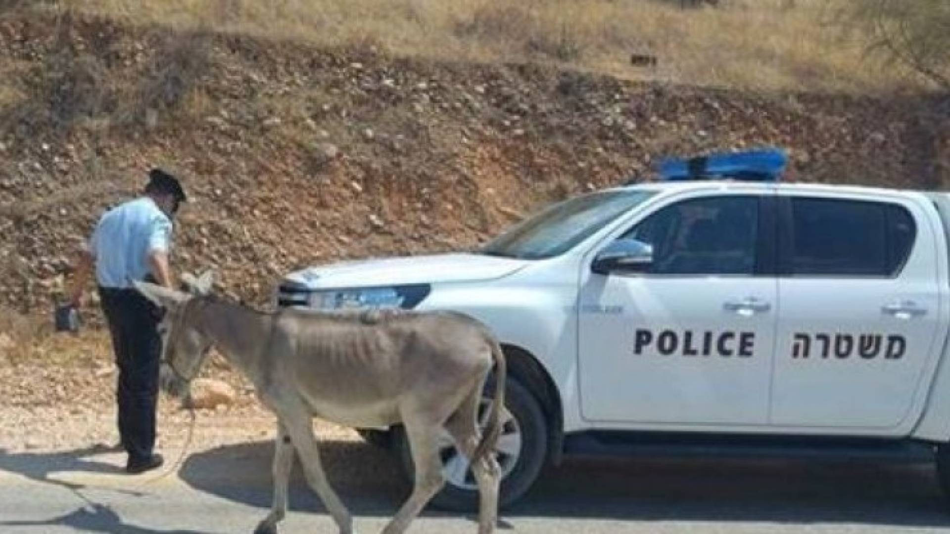 ناشطون على مواقع التواصل الاجتماعي يتداولون مقطع فيديو قصيرا لحمار وهو يعبر أحد الحواجز الإسرائيلية متجها إلى مدينة القدس