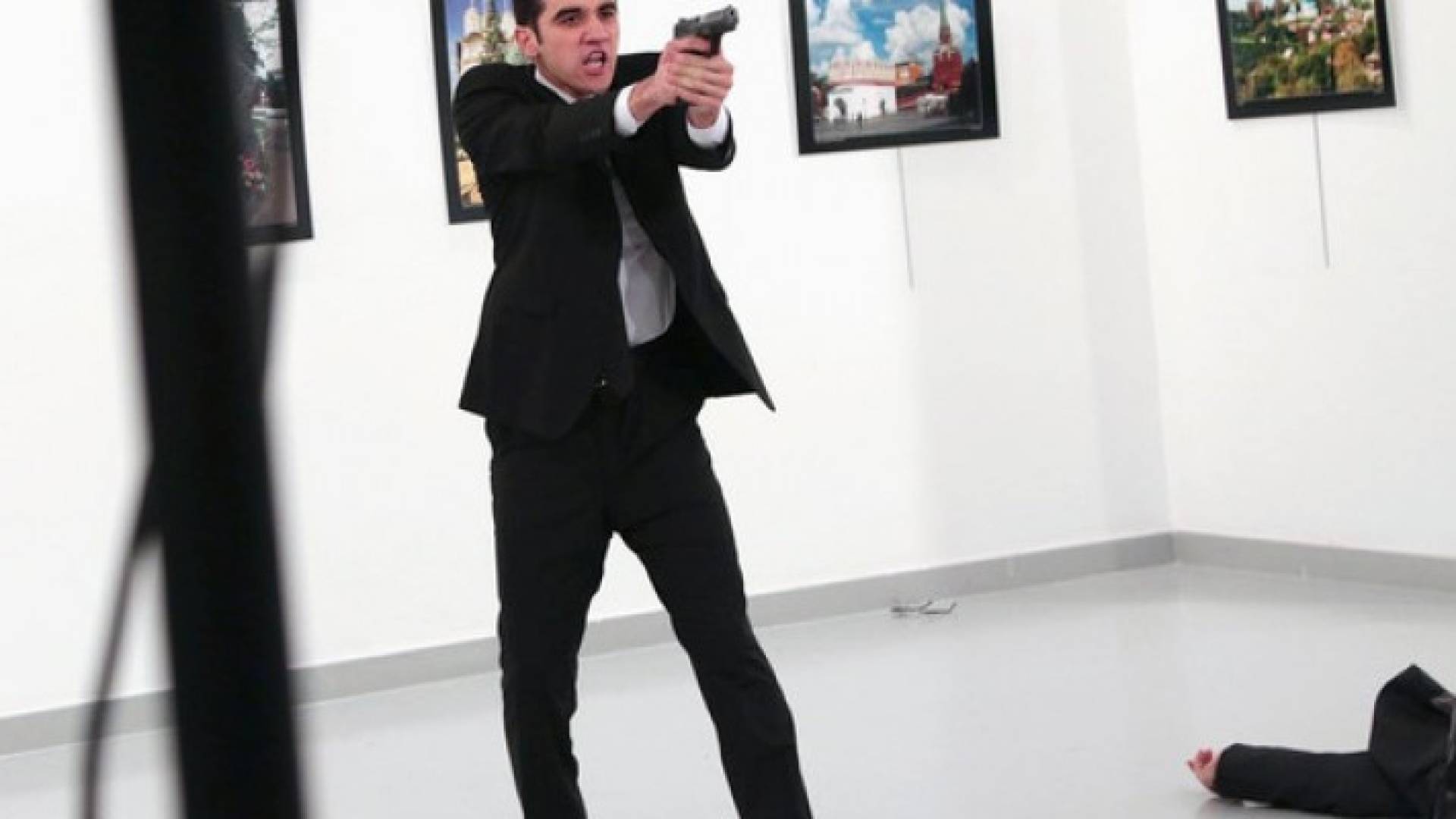 الصورة الفائزة