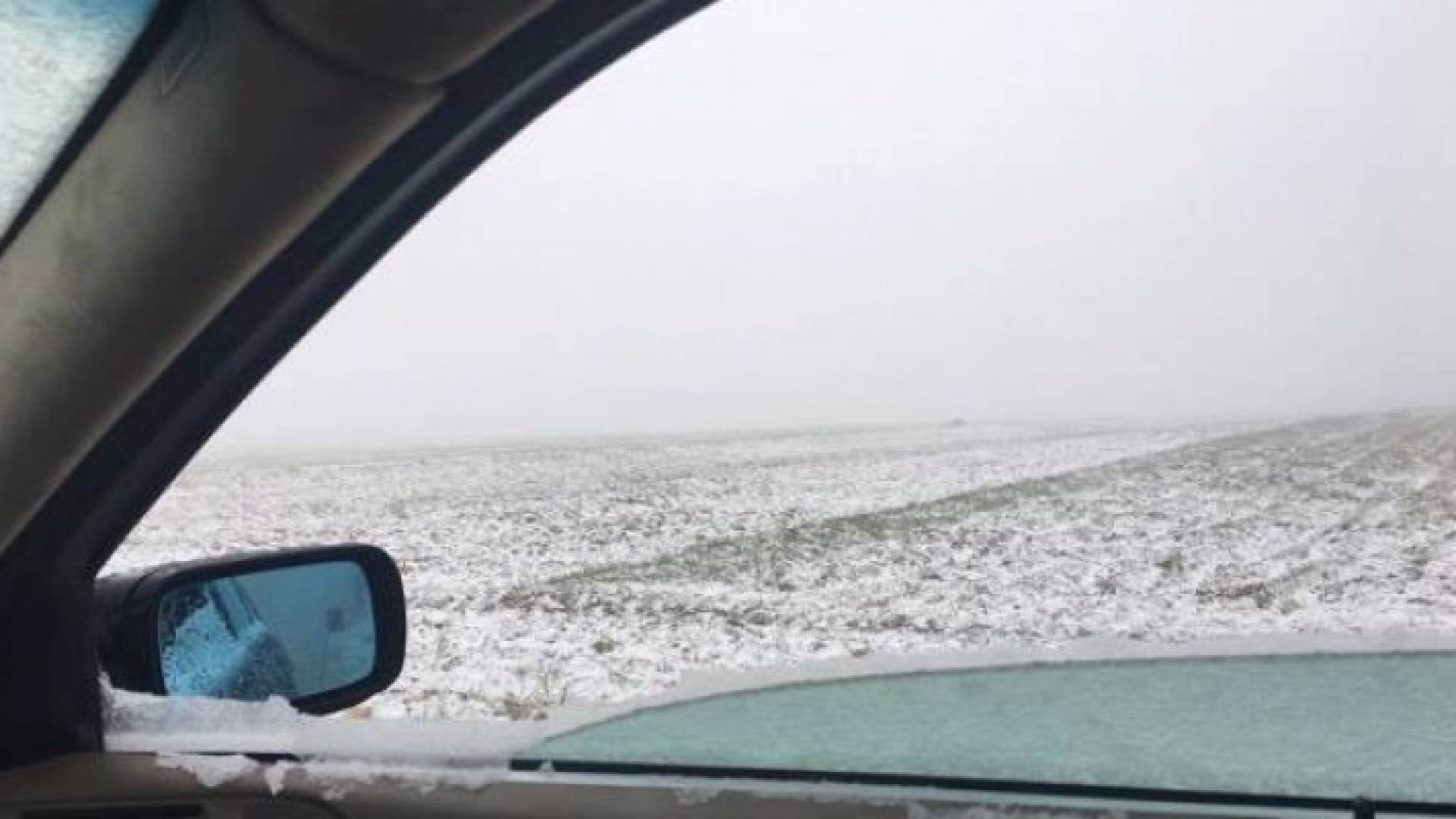 الصور من طقس العرب 